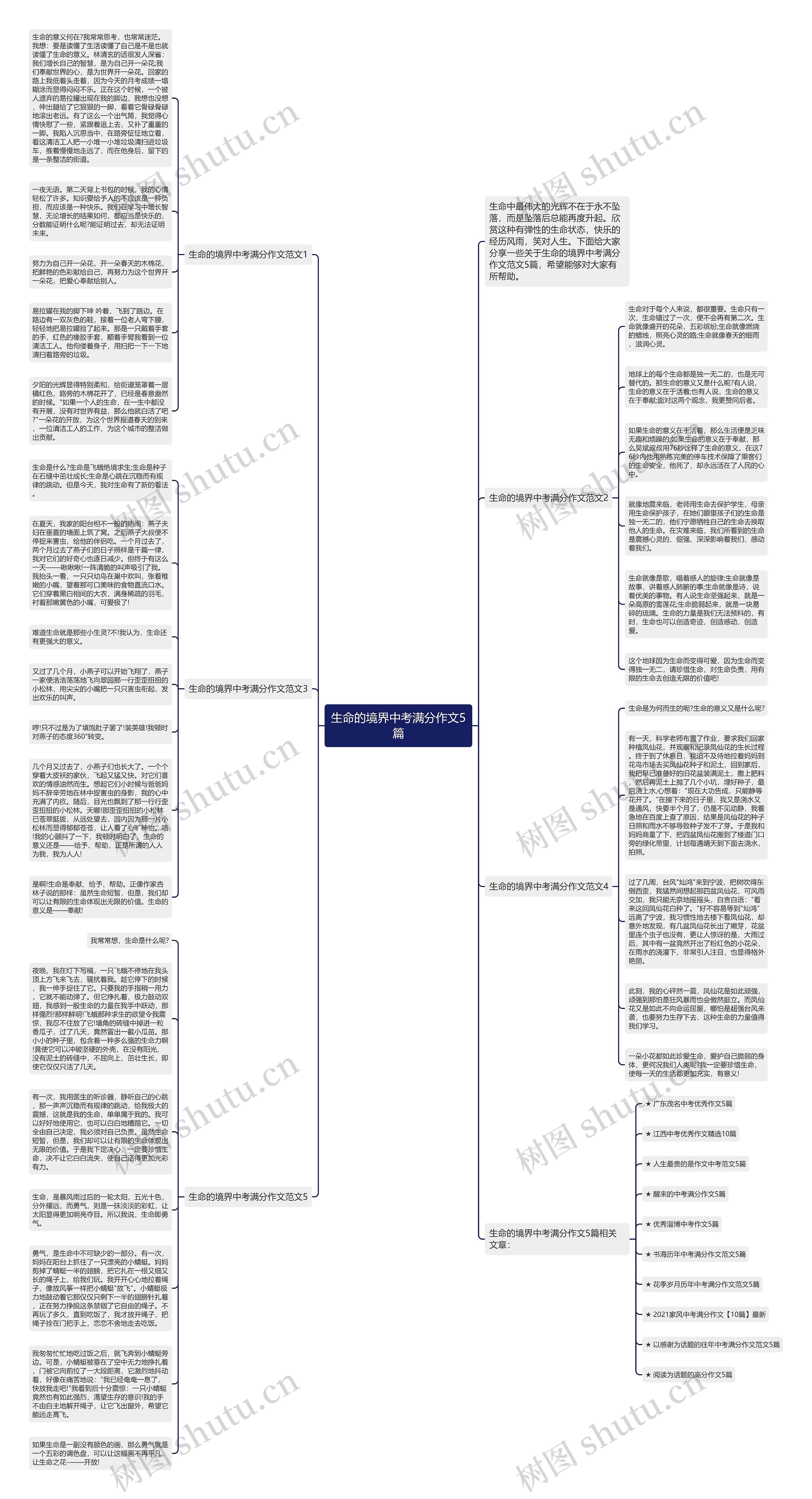 生命的境界中考满分作文5篇思维导图