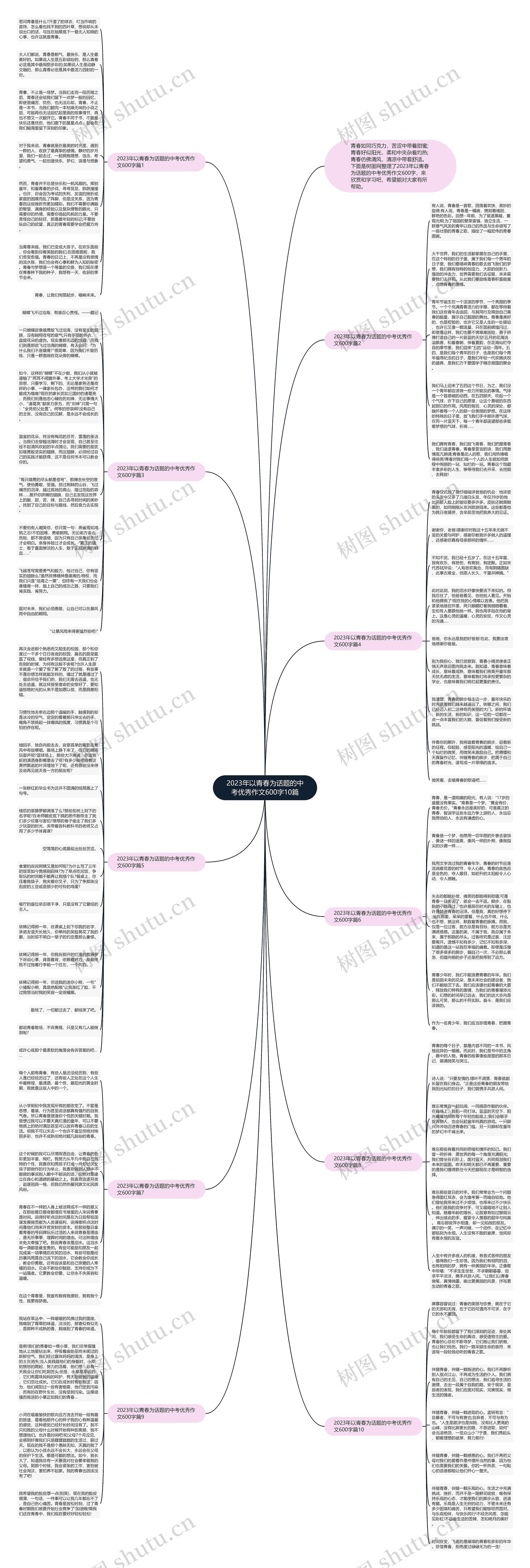 2023年以青春为话题的中考优秀作文600字10篇思维导图