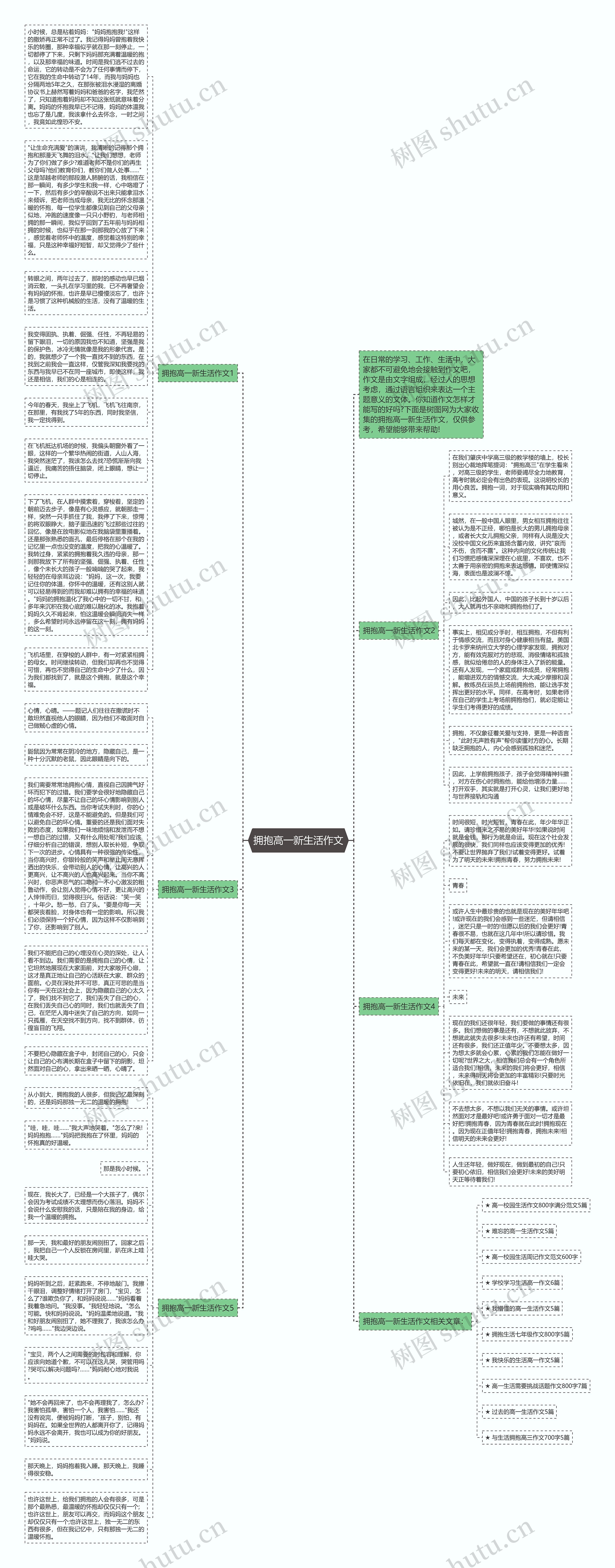 拥抱高一新生活作文思维导图