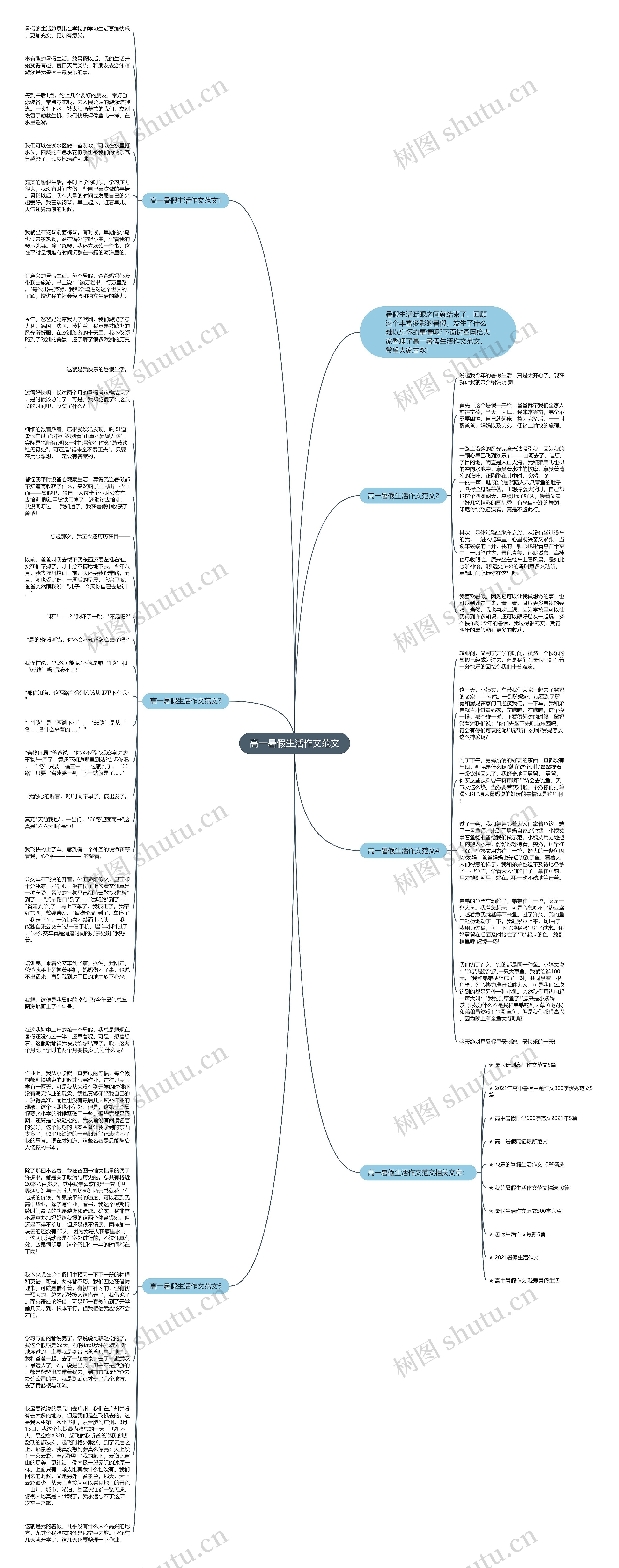 高一暑假生活作文范文思维导图