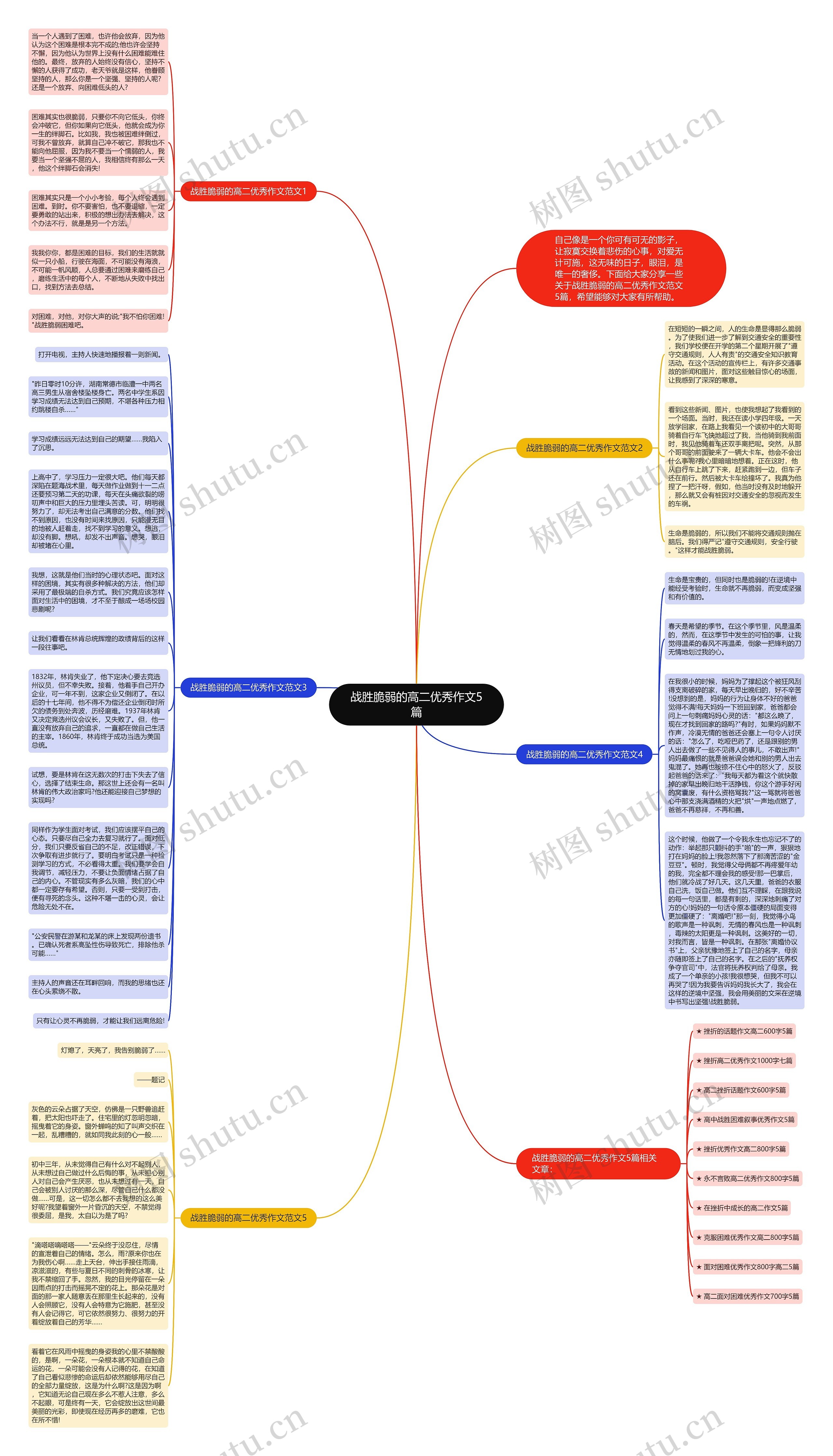 战胜脆弱的高二优秀作文5篇思维导图