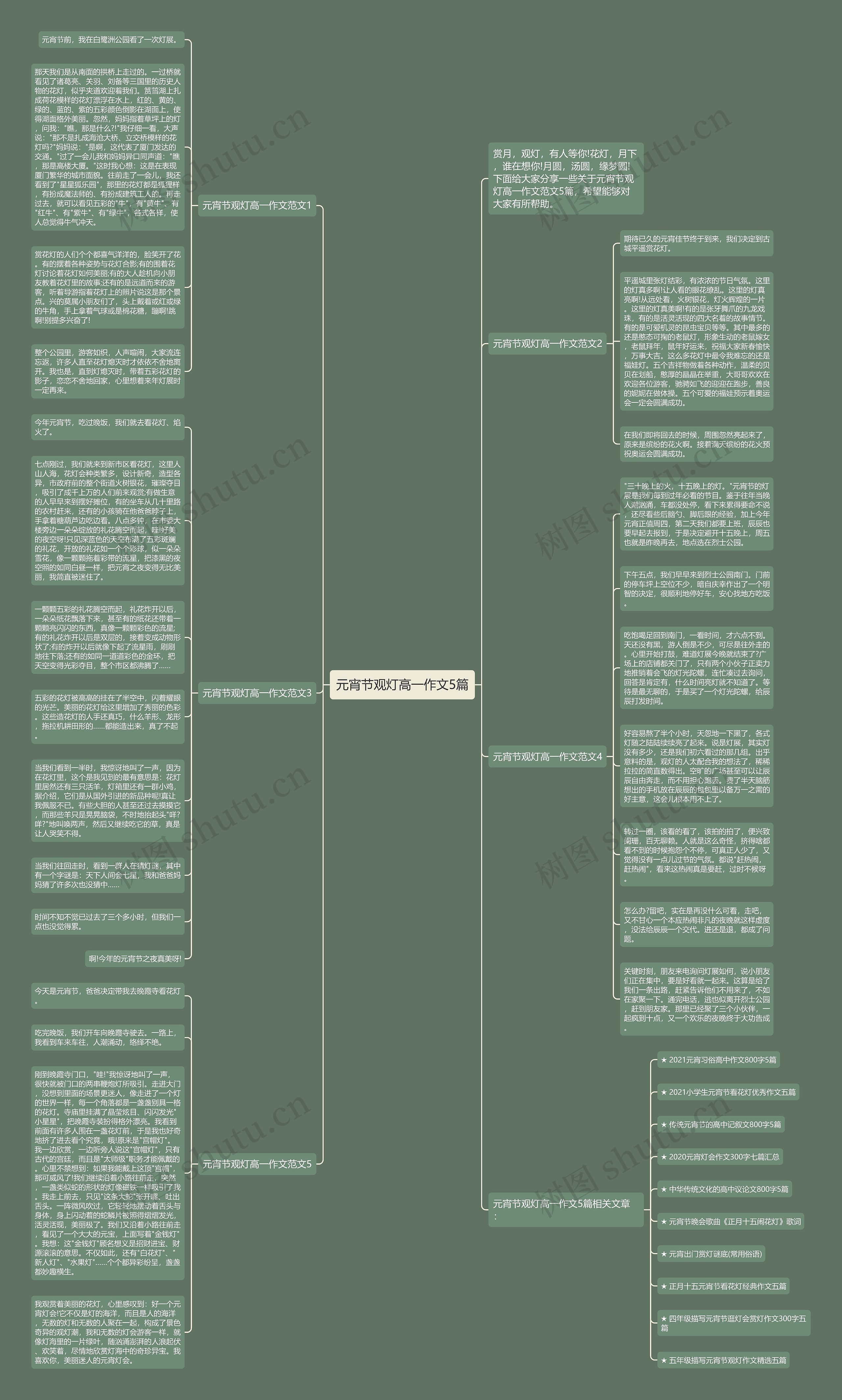 元宵节观灯高一作文5篇思维导图