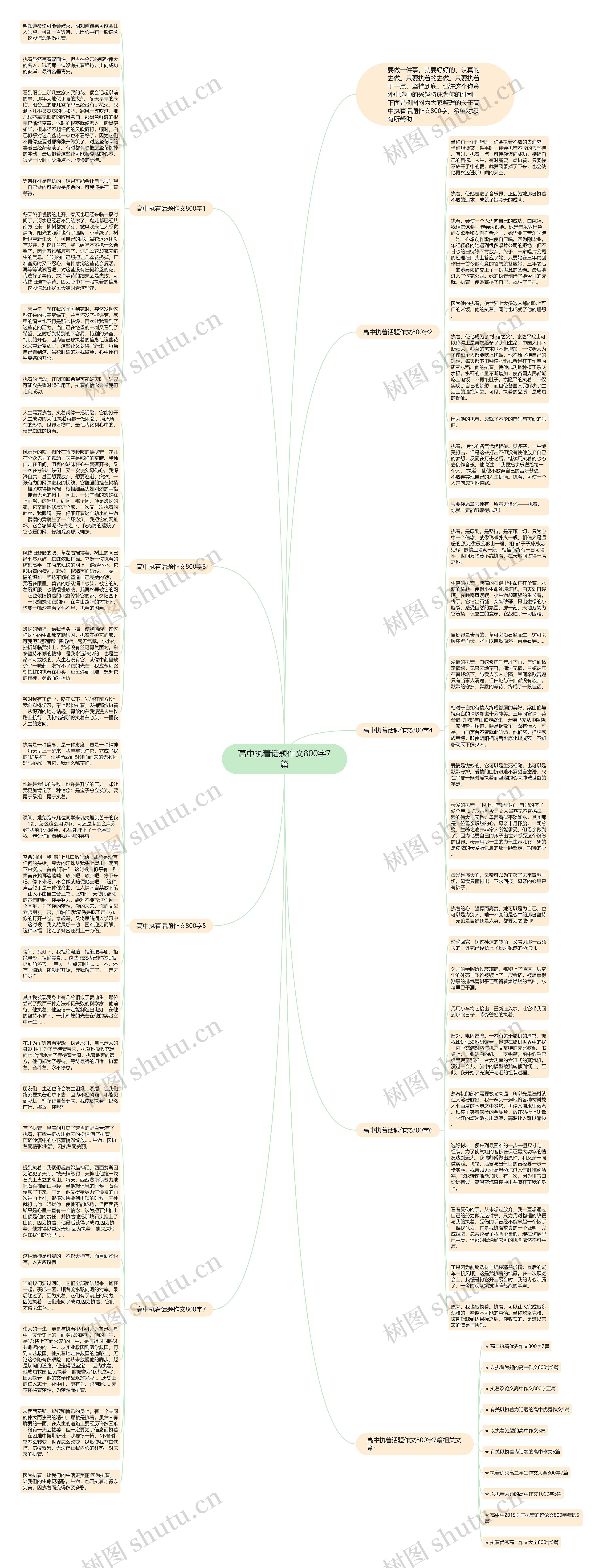 高中执着话题作文800字7篇思维导图