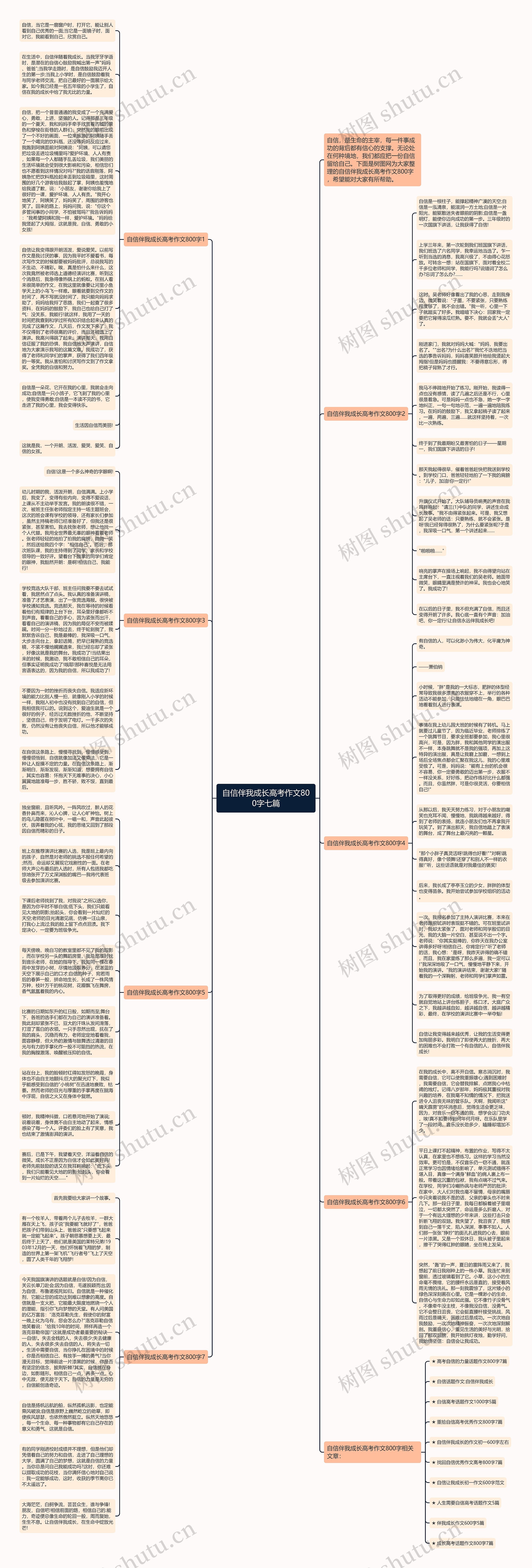 自信伴我成长高考作文800字七篇思维导图