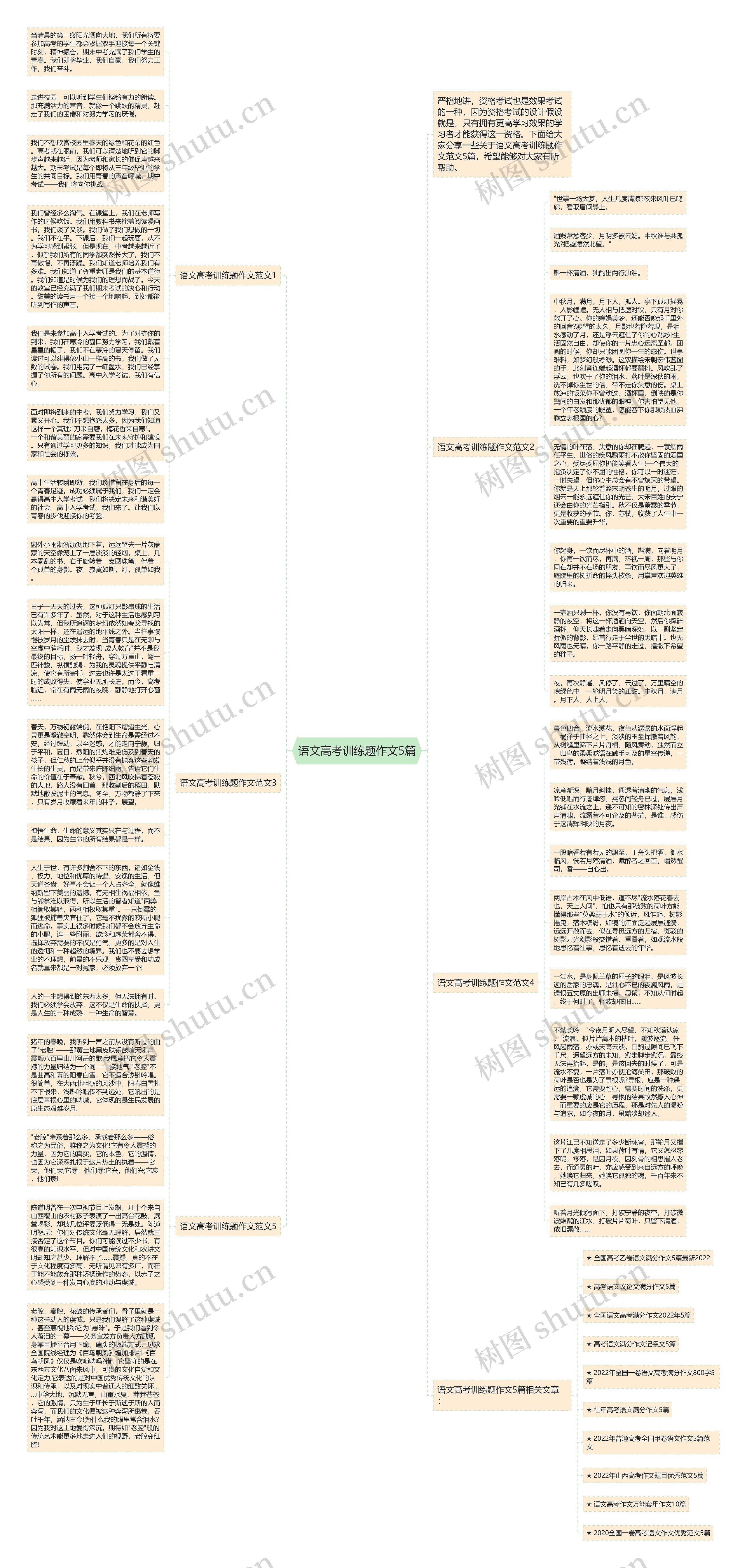 语文高考训练题作文5篇思维导图