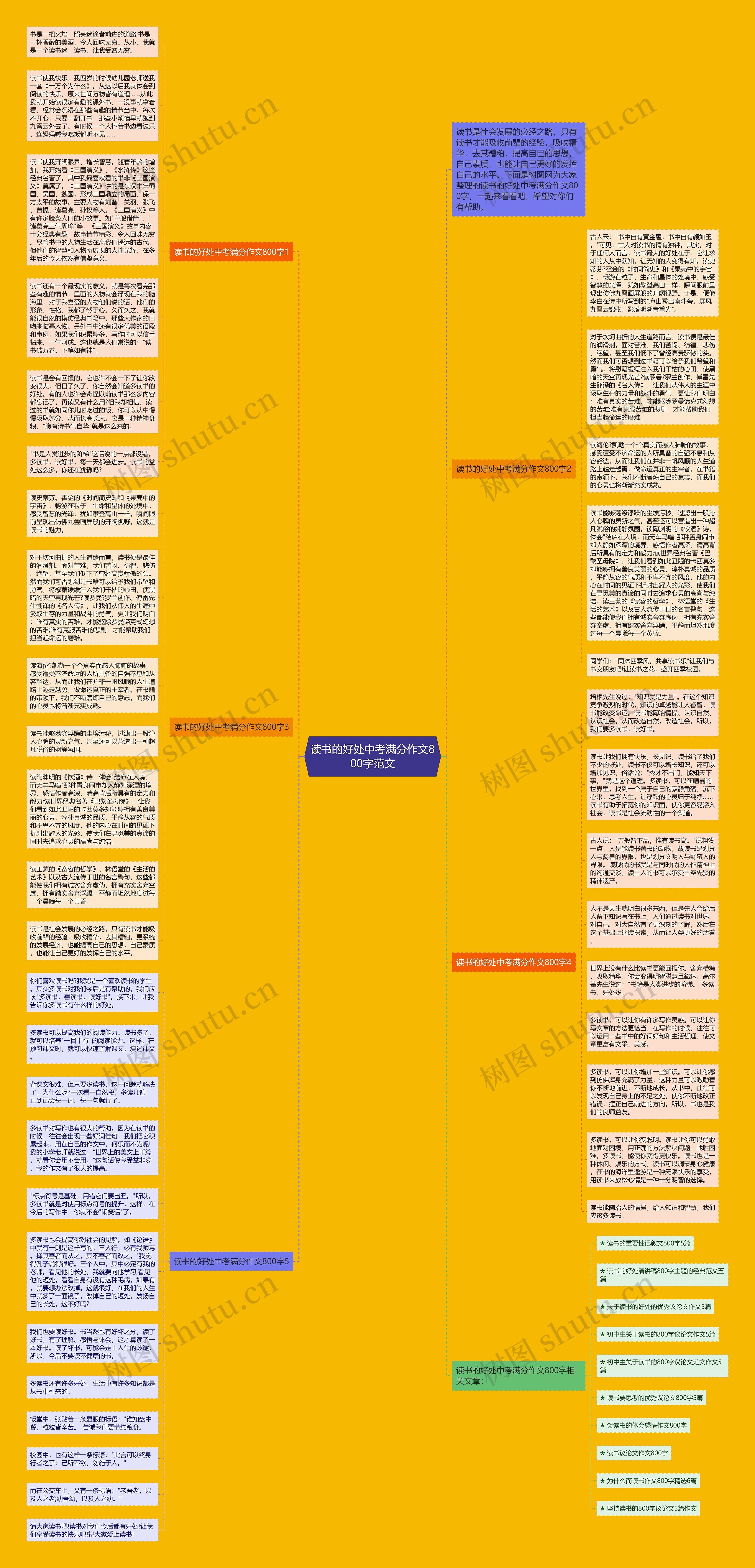 读书的好处中考满分作文800字范文思维导图