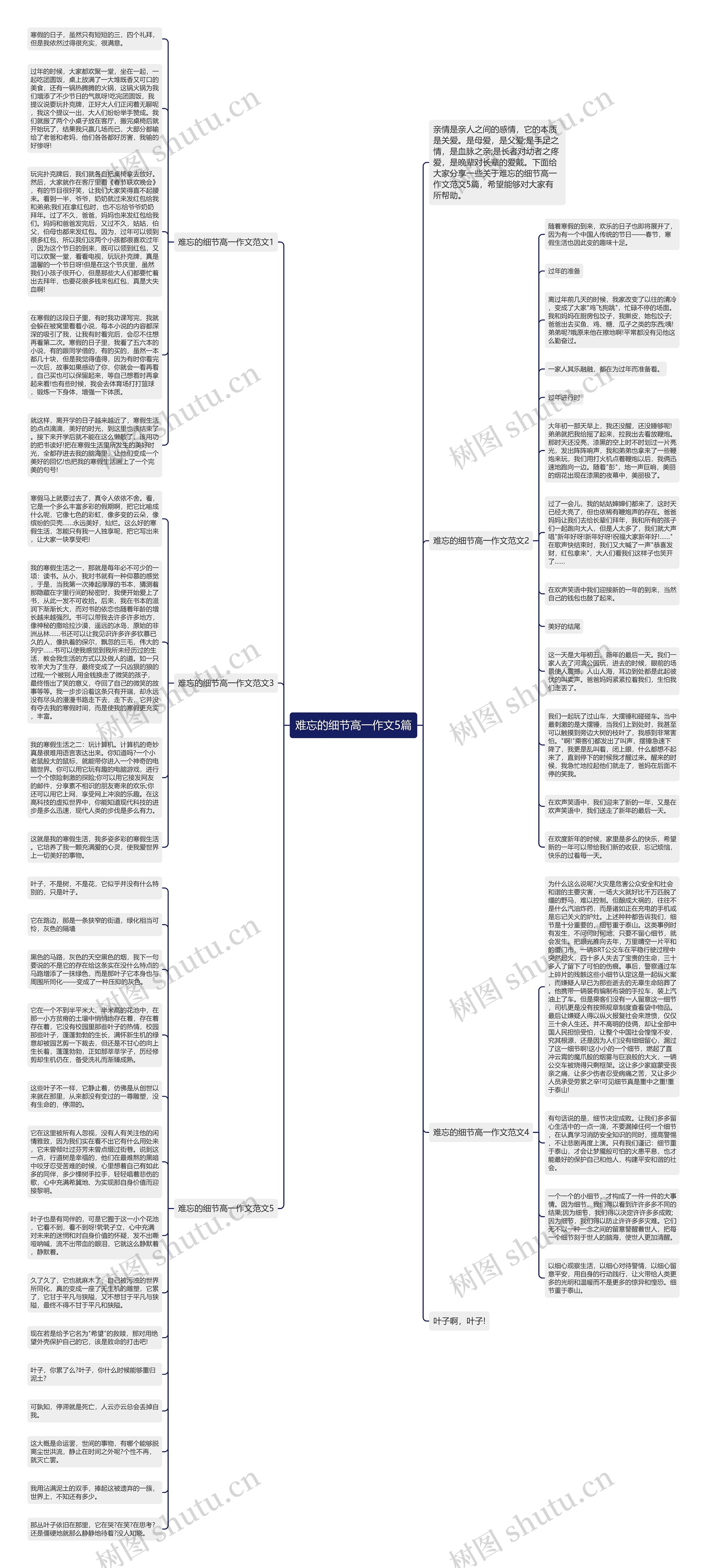 难忘的细节高一作文5篇思维导图