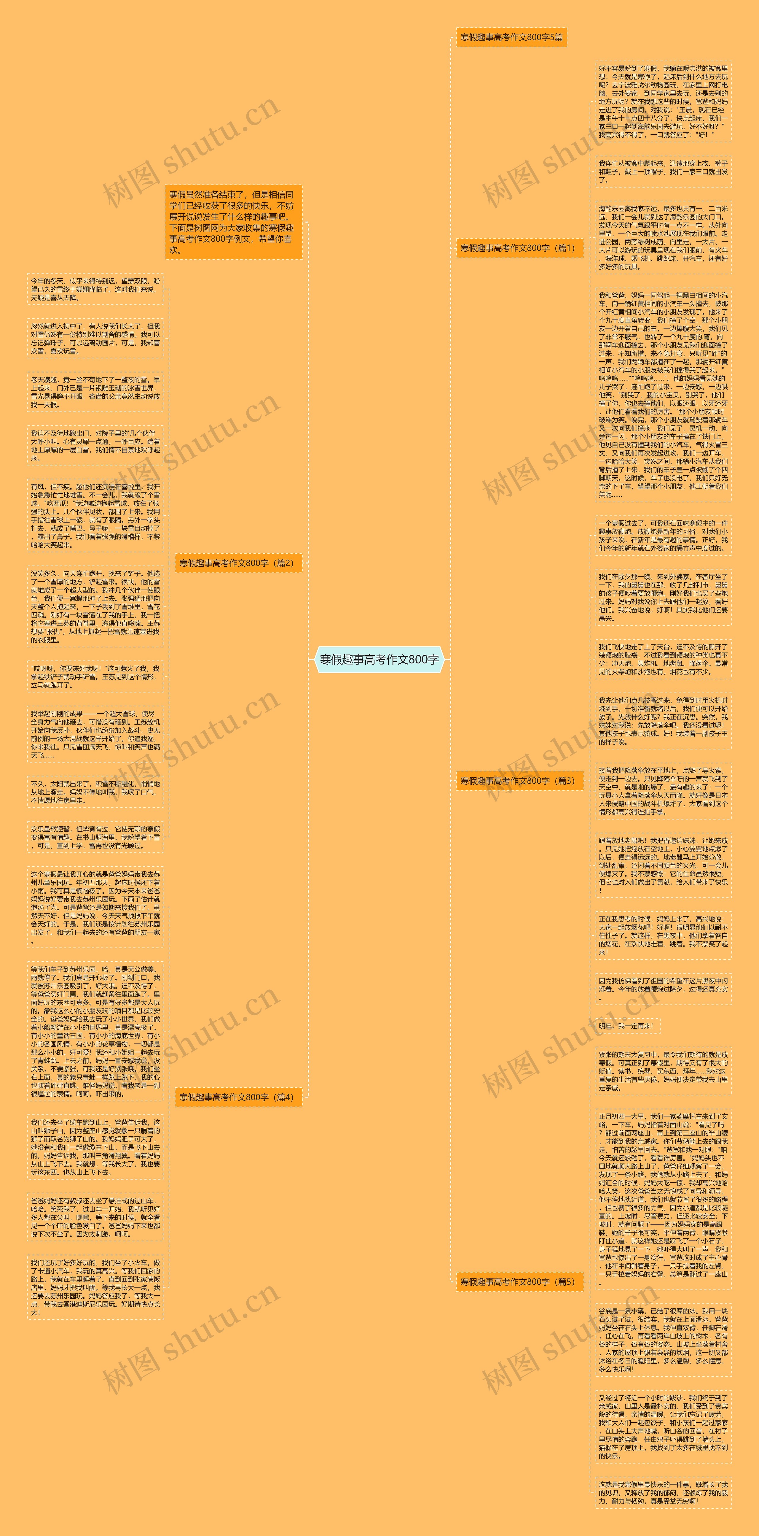 寒假趣事高考作文800字思维导图