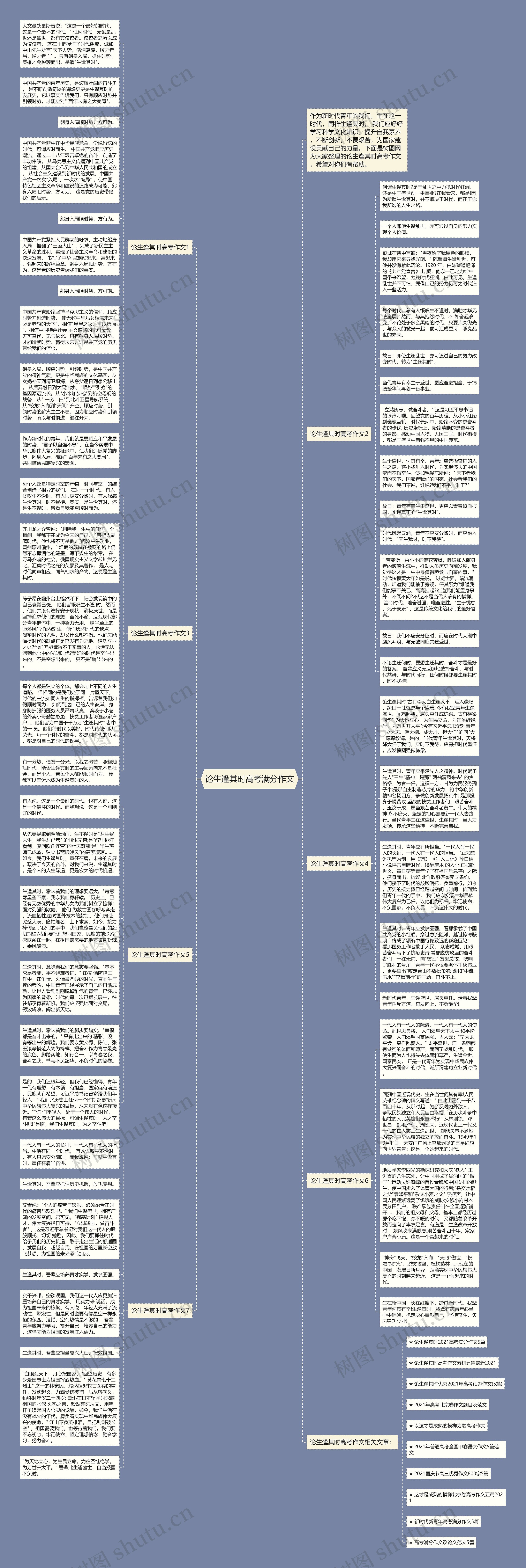 论生逢其时高考满分作文思维导图