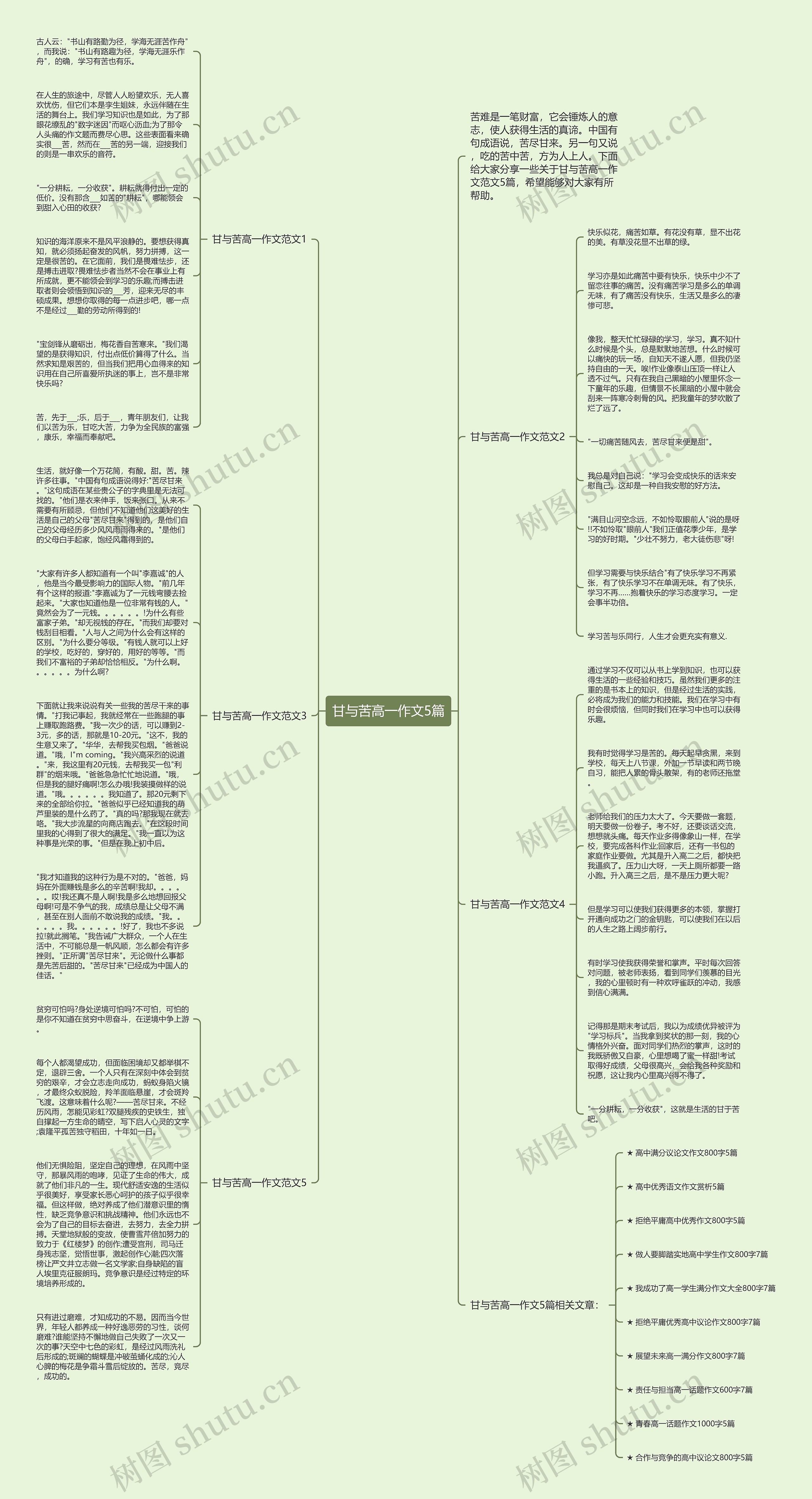 甘与苦高一作文5篇思维导图