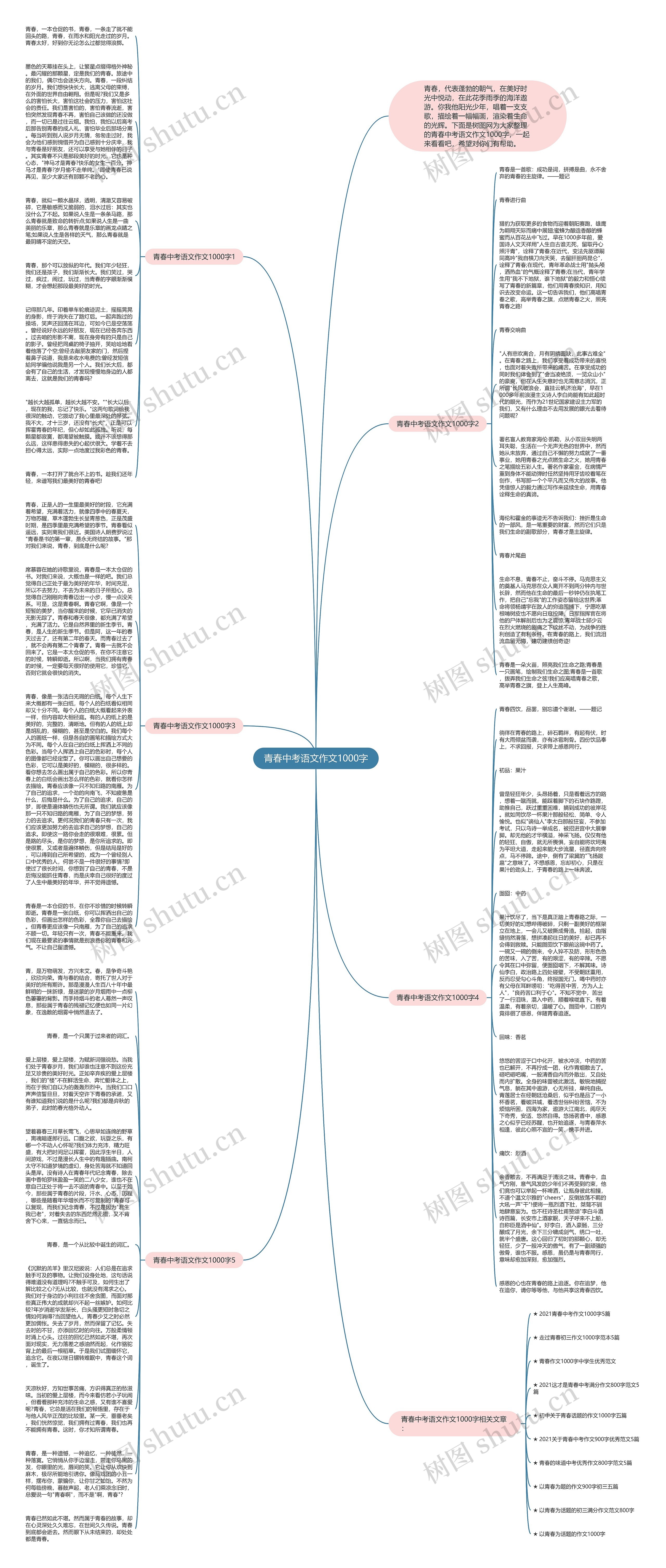 青春中考语文作文1000字思维导图