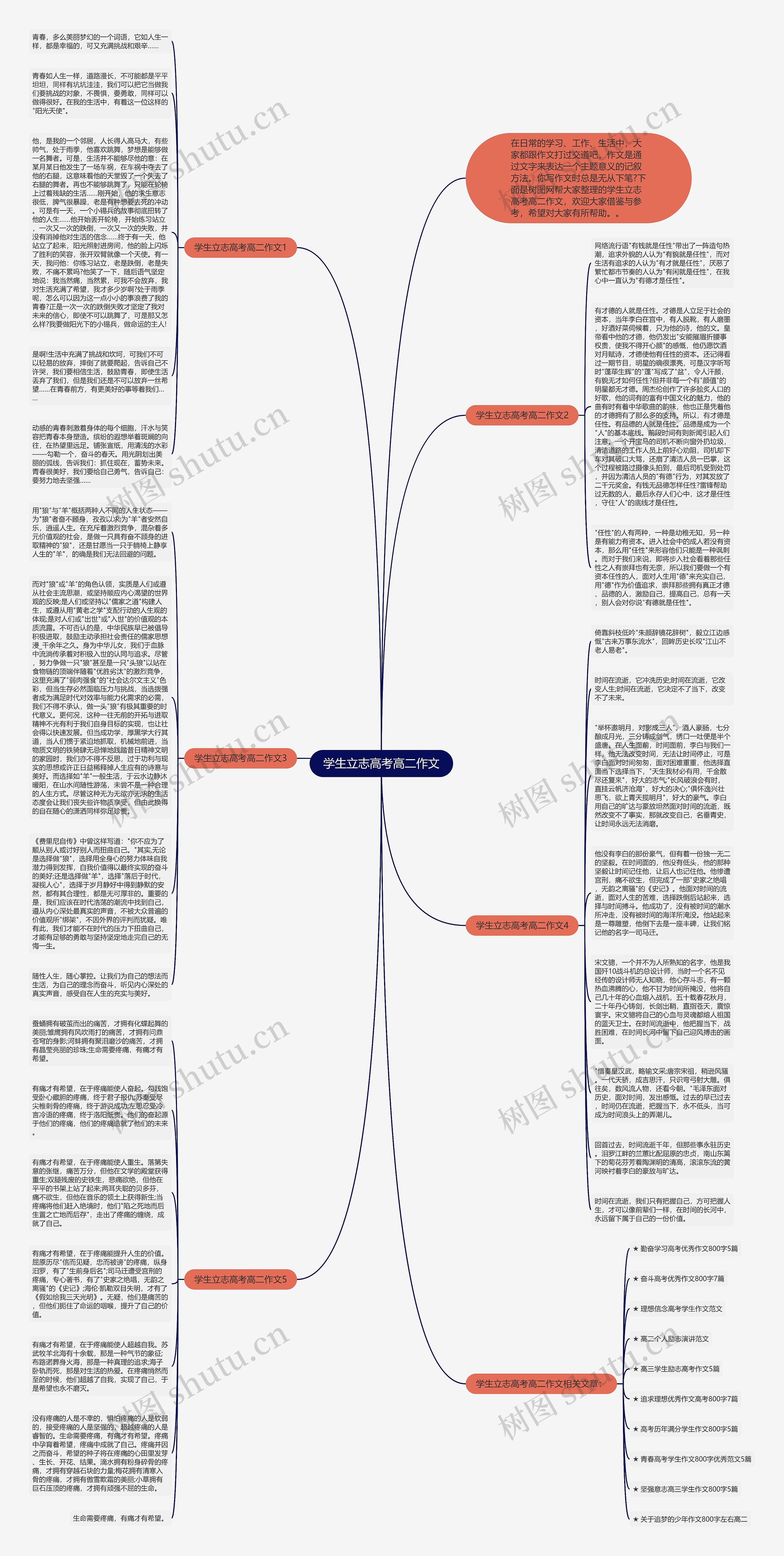 学生立志高考高二作文思维导图