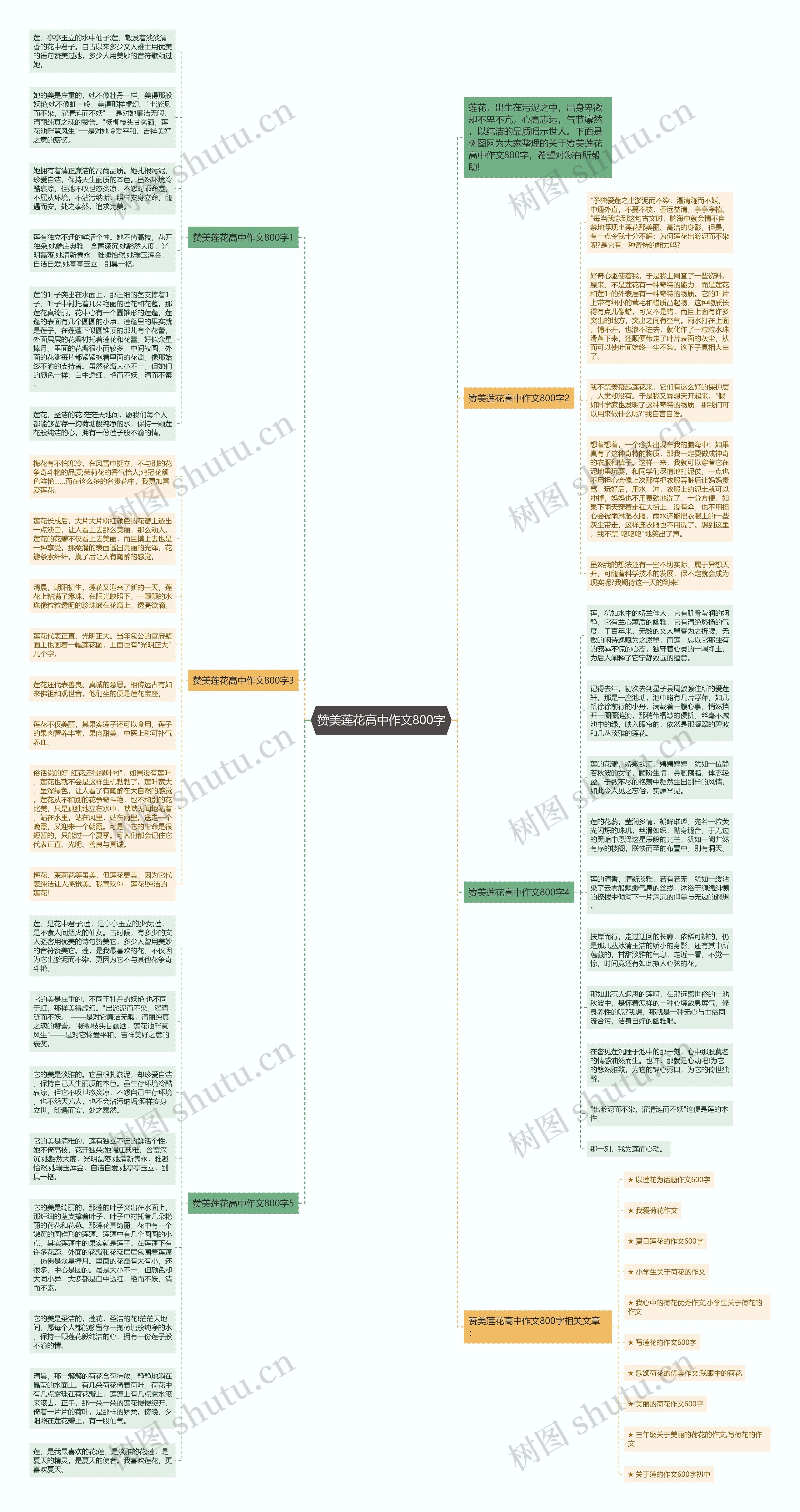 赞美莲花高中作文800字思维导图