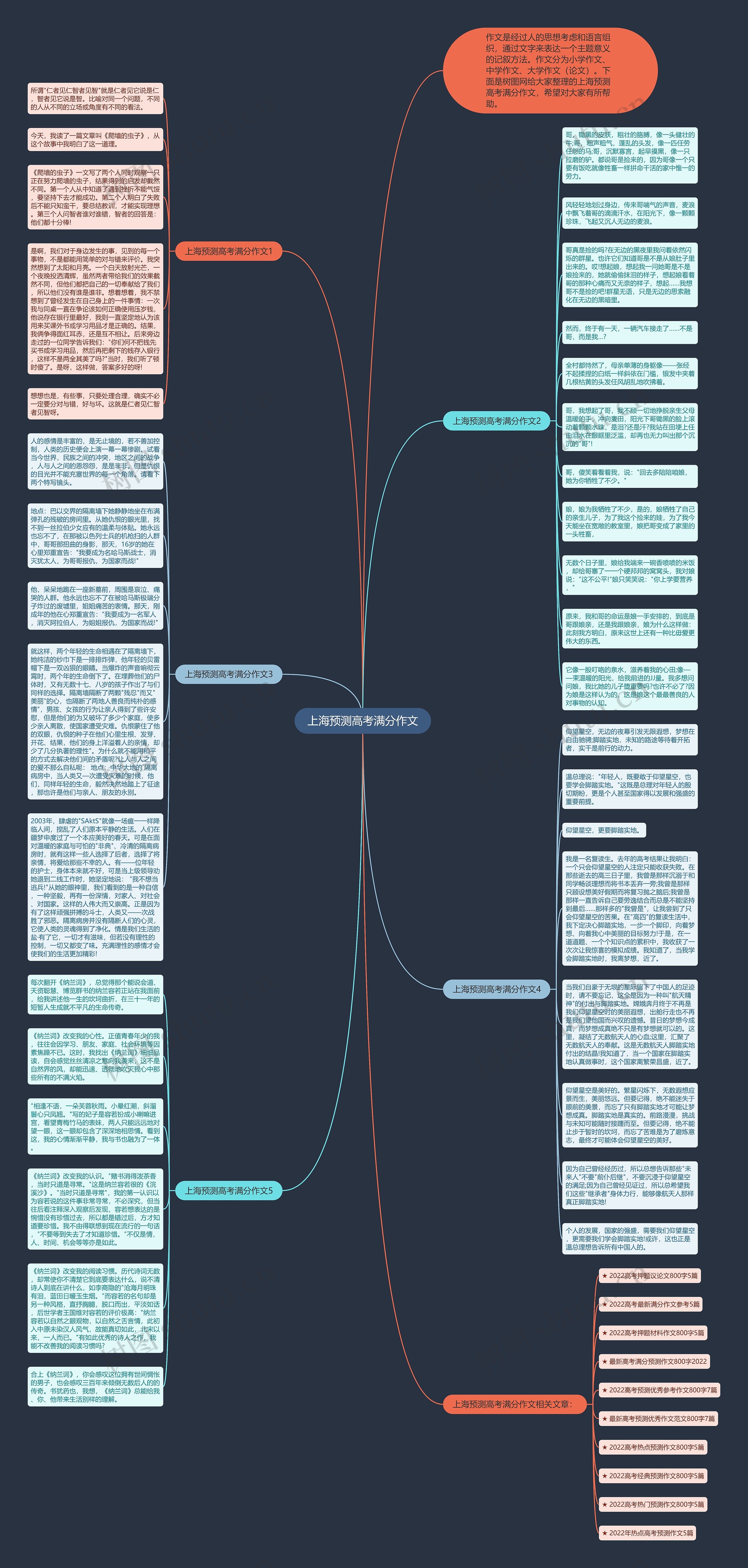 上海预测高考满分作文思维导图