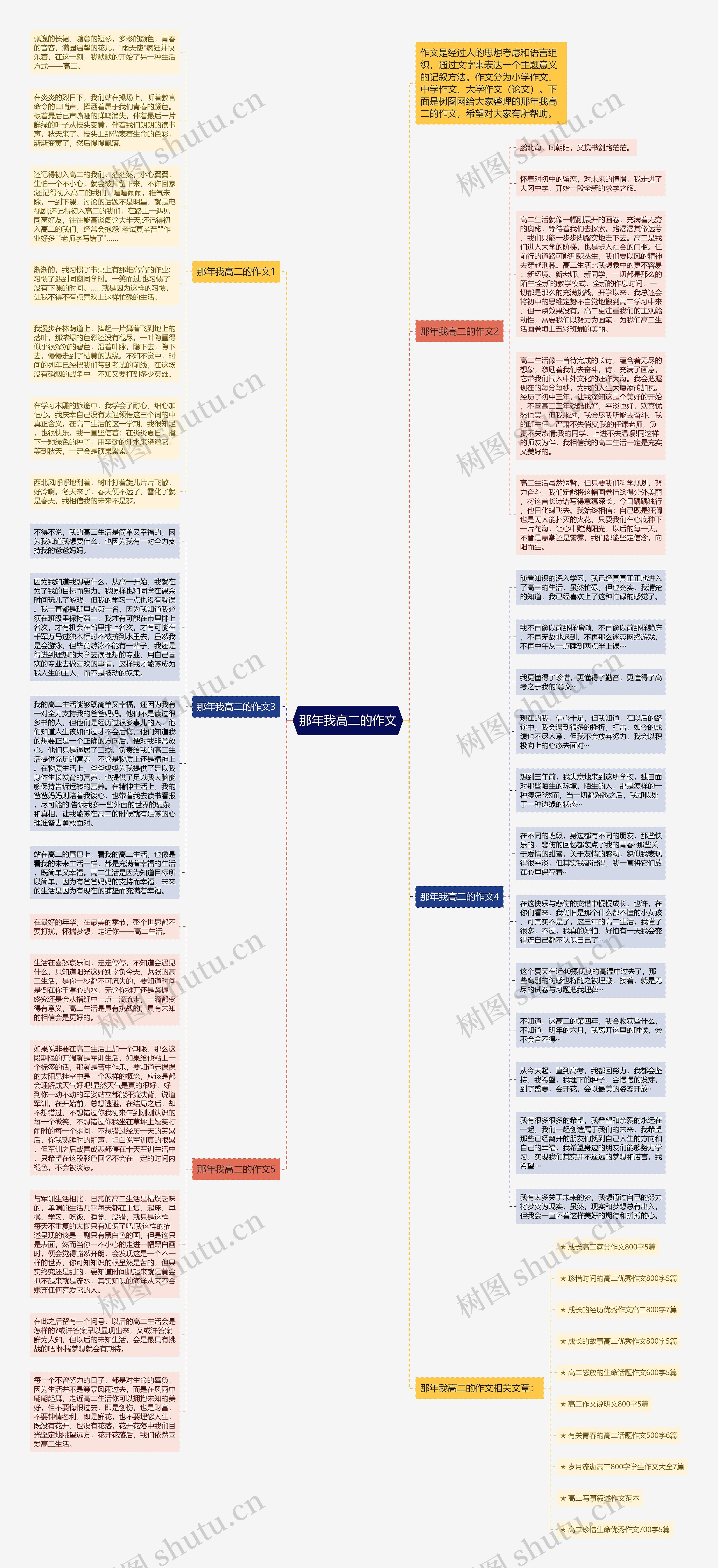 那年我高二的作文思维导图