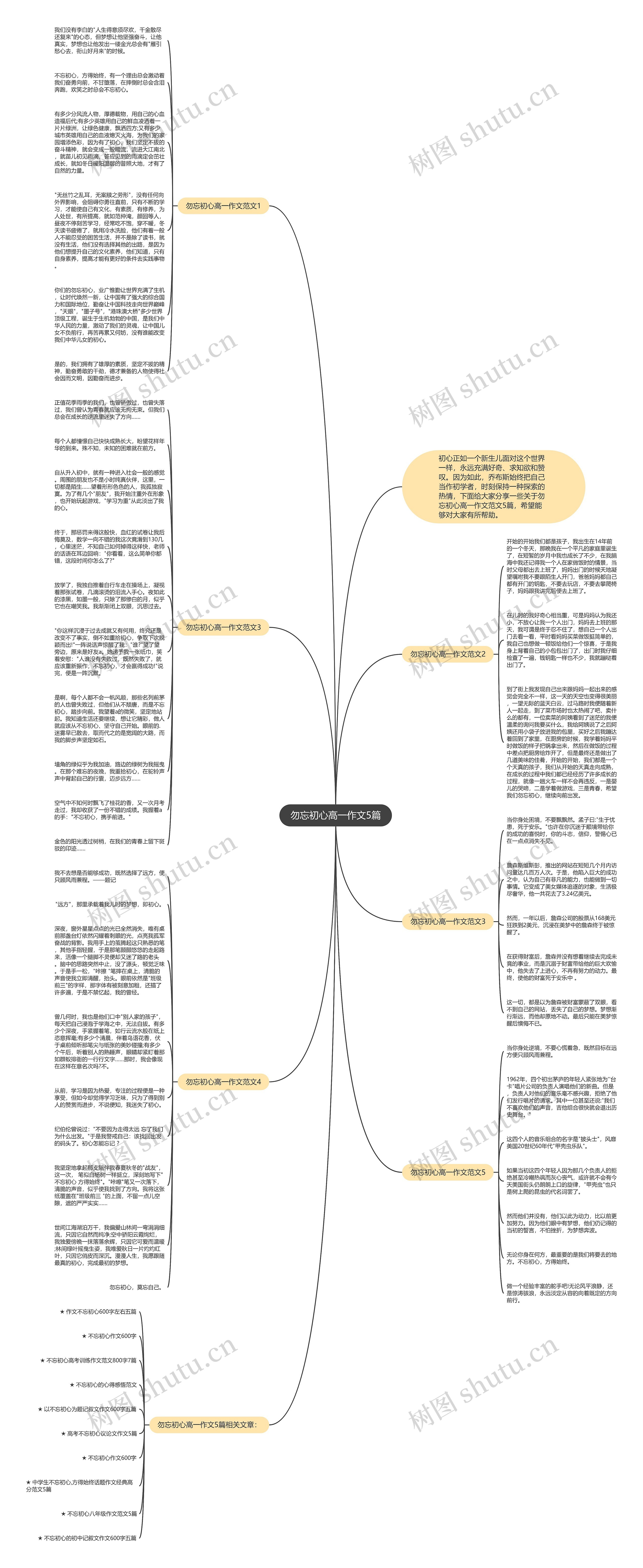 勿忘初心高一作文5篇思维导图