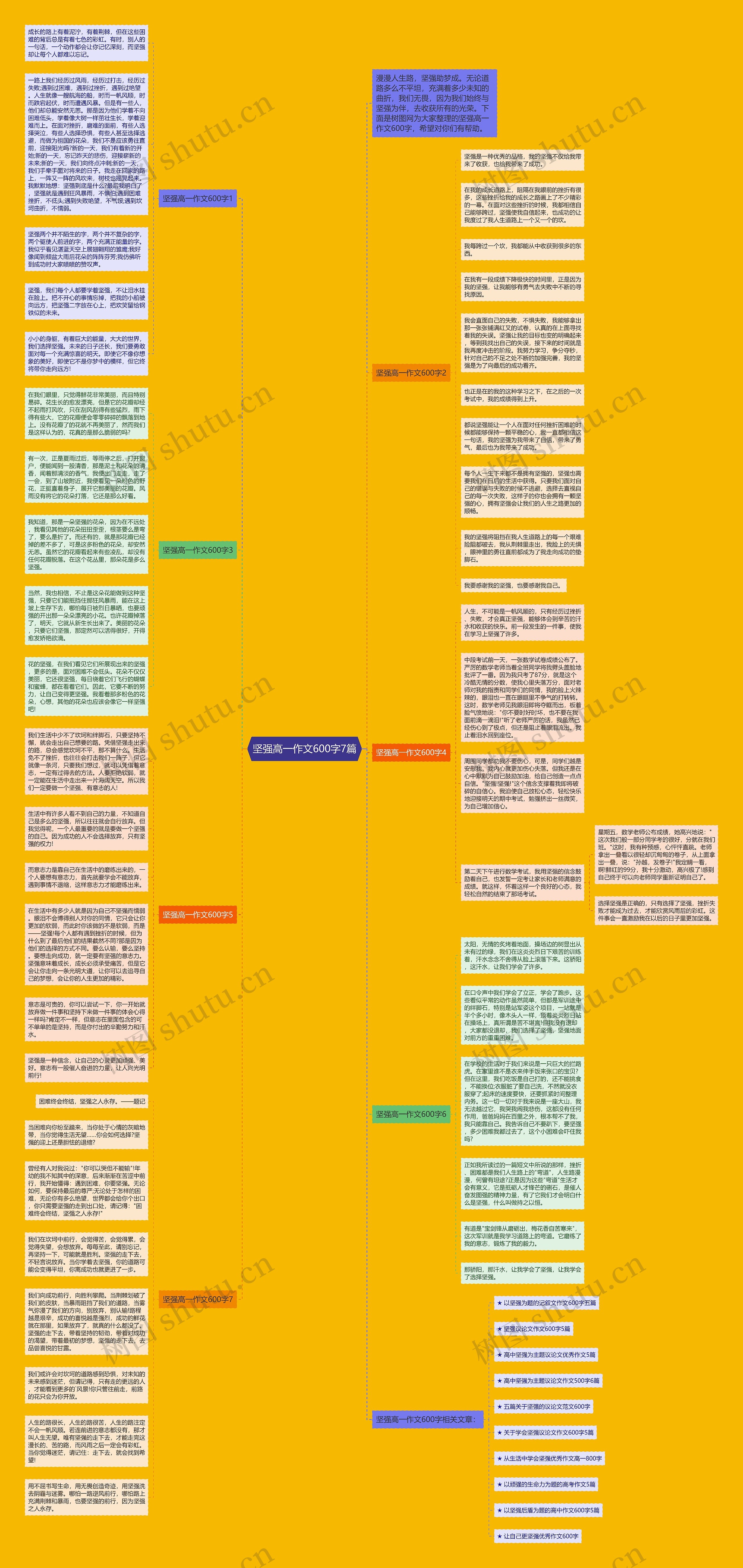 坚强高一作文600字7篇