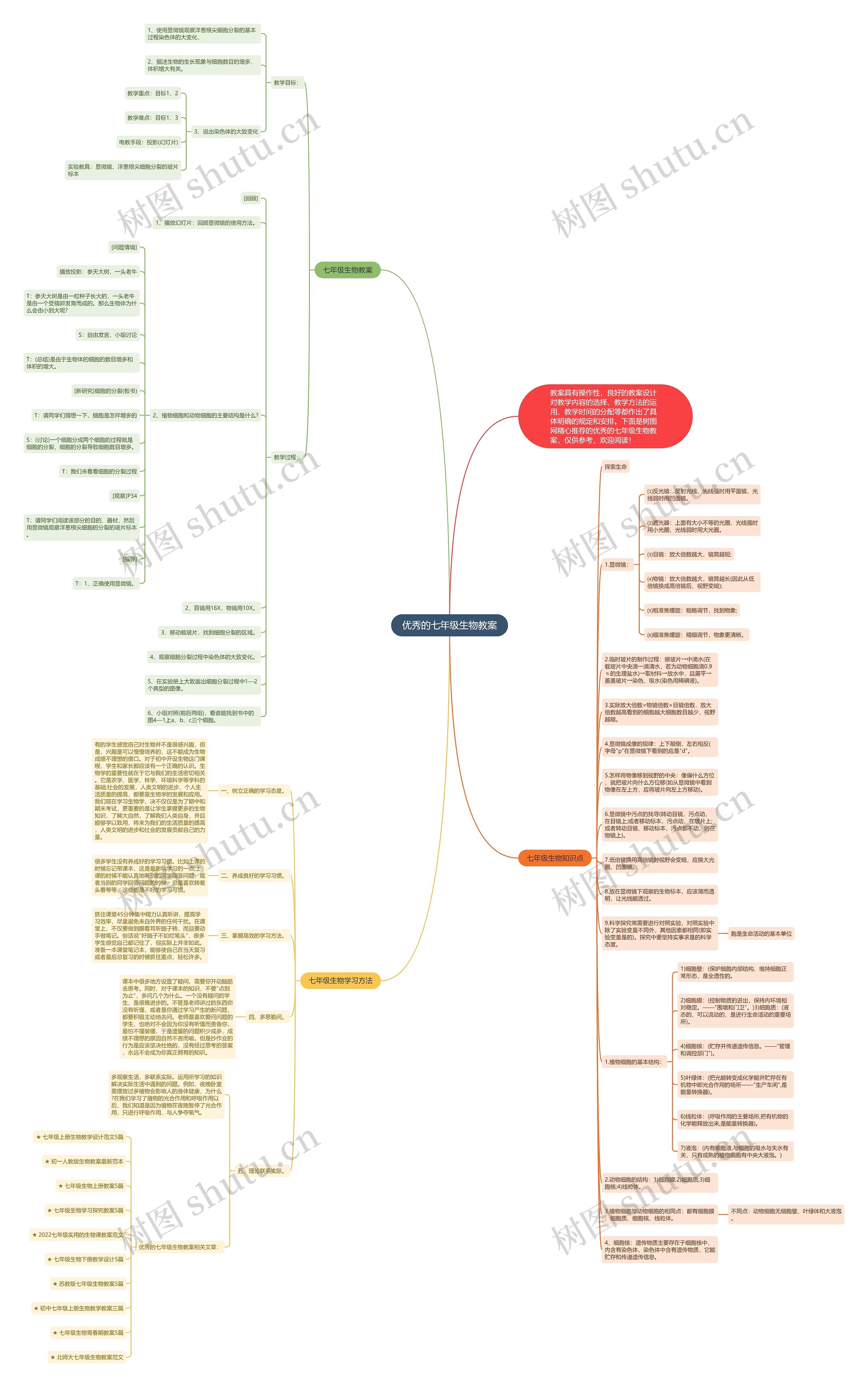 优秀的七年级生物教案思维导图