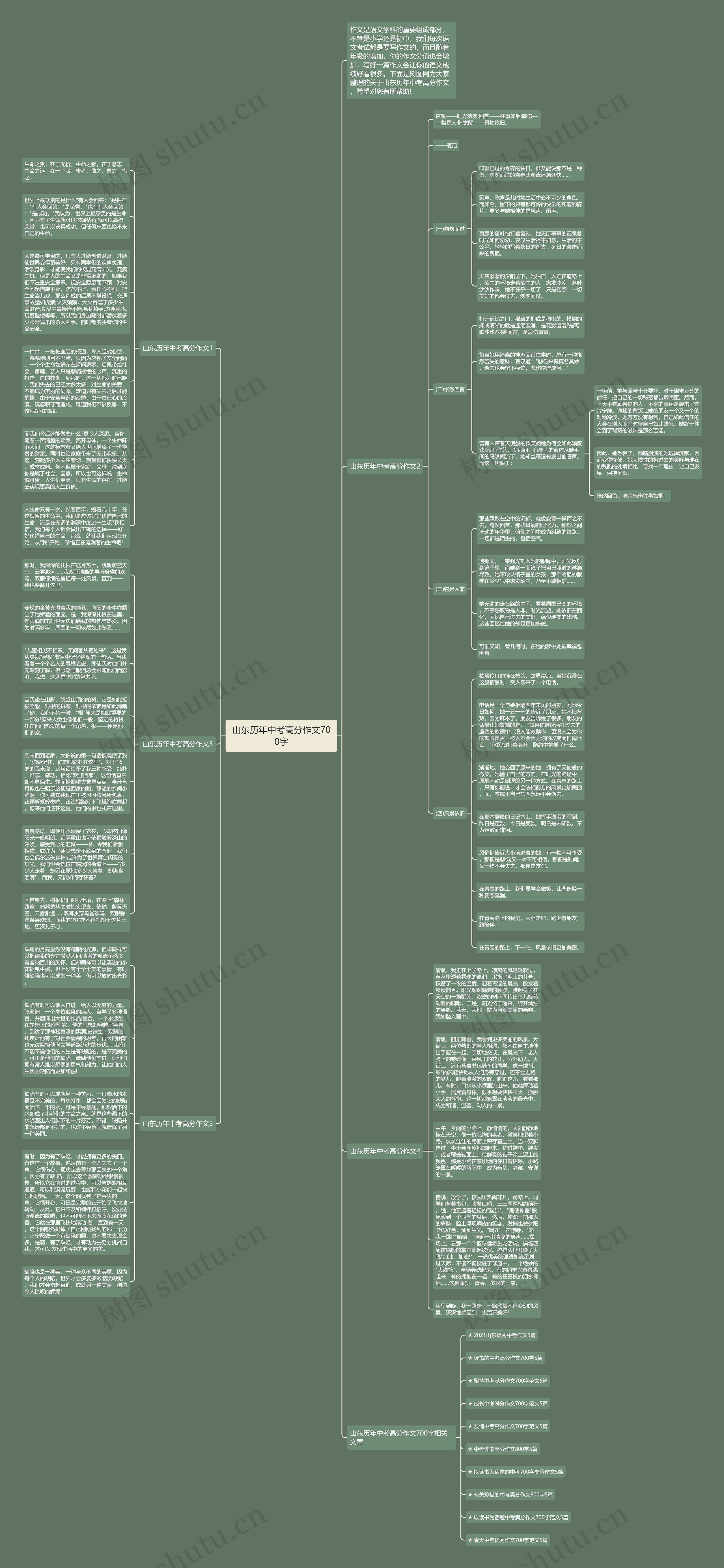 山东历年中考高分作文700字思维导图