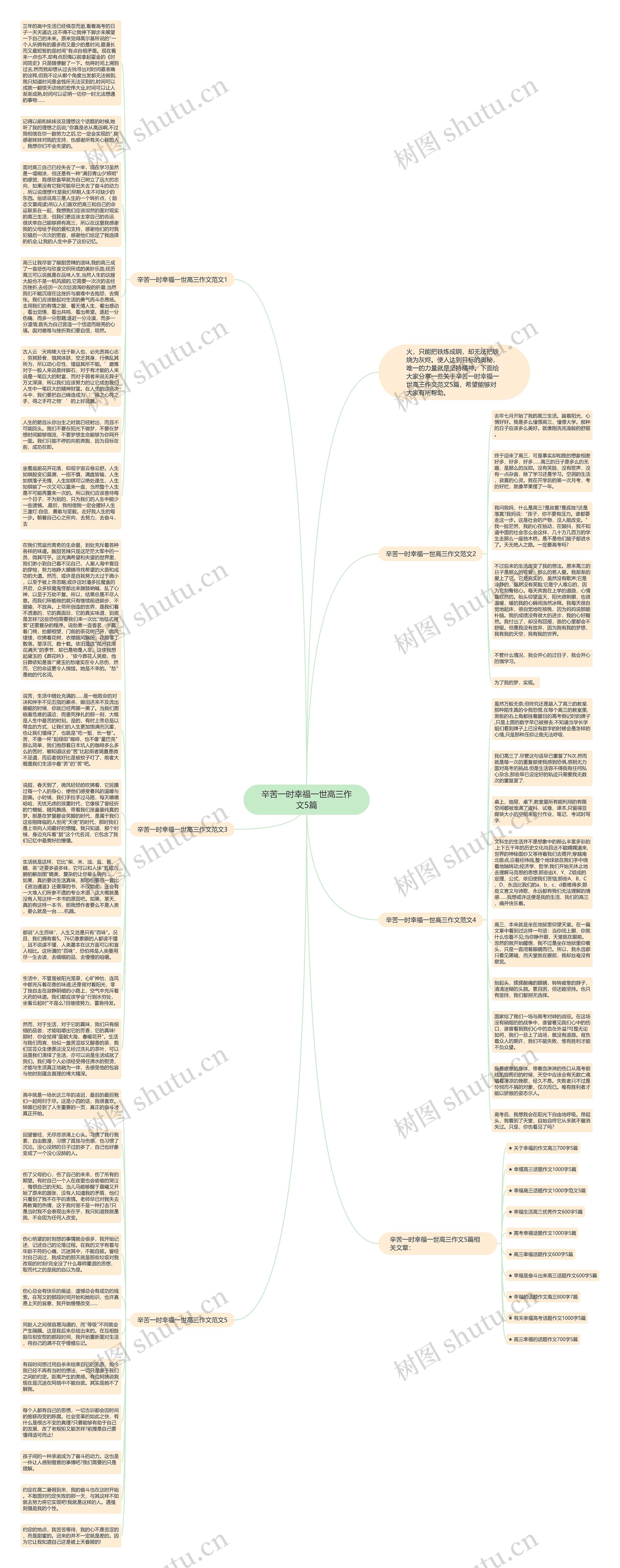 辛苦一时幸福一世高三作文5篇思维导图