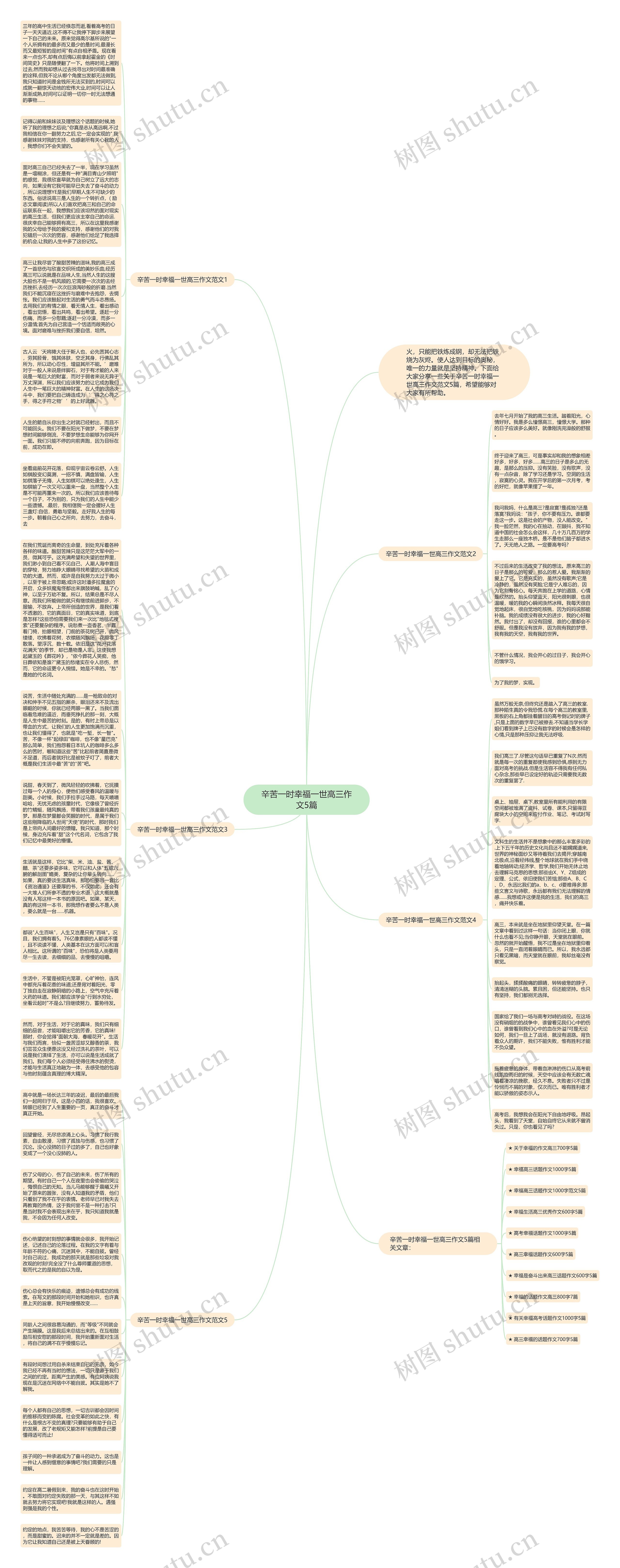 辛苦一时幸福一世高三作文5篇思维导图高清图 辛苦一时幸福一世高三作文5篇思维导图
