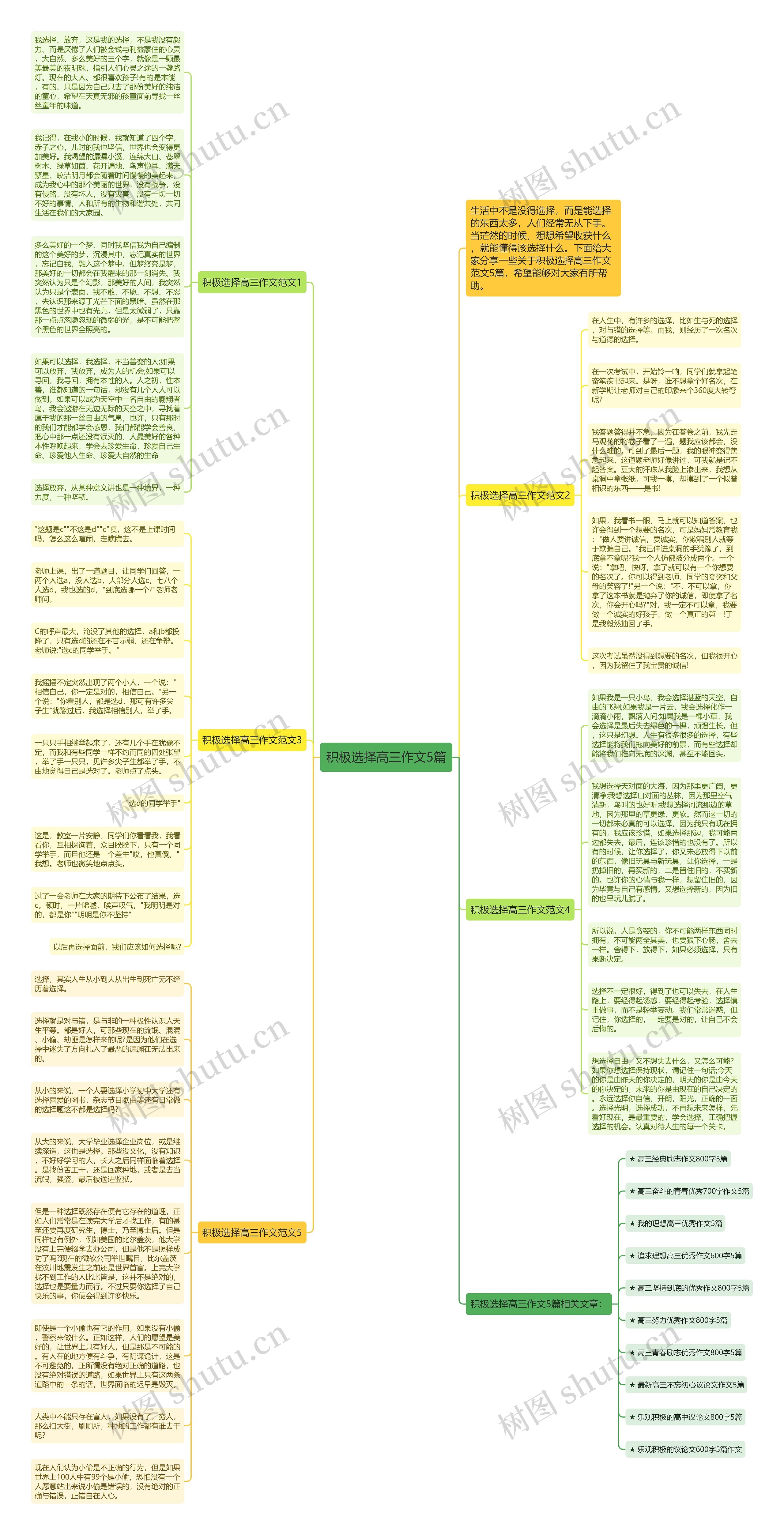 积极选择高三作文5篇思维导图