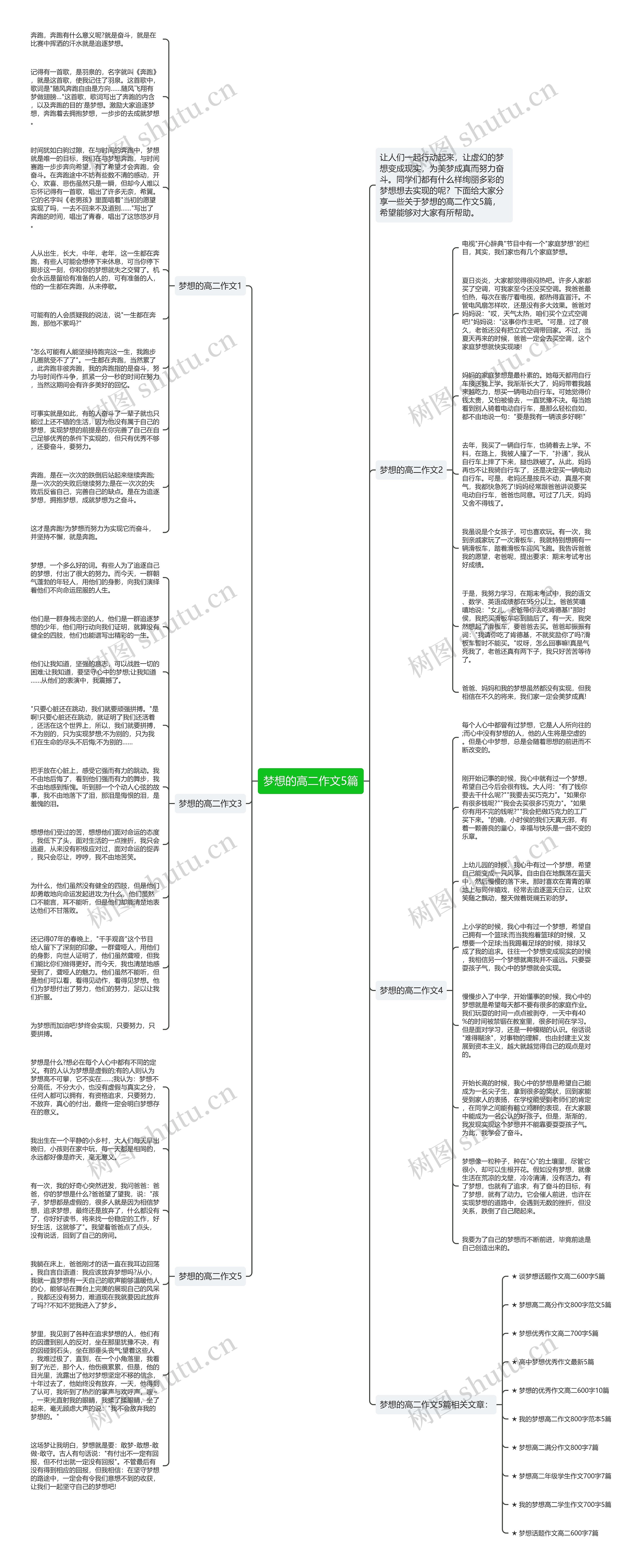 梦想的高二作文5篇思维导图