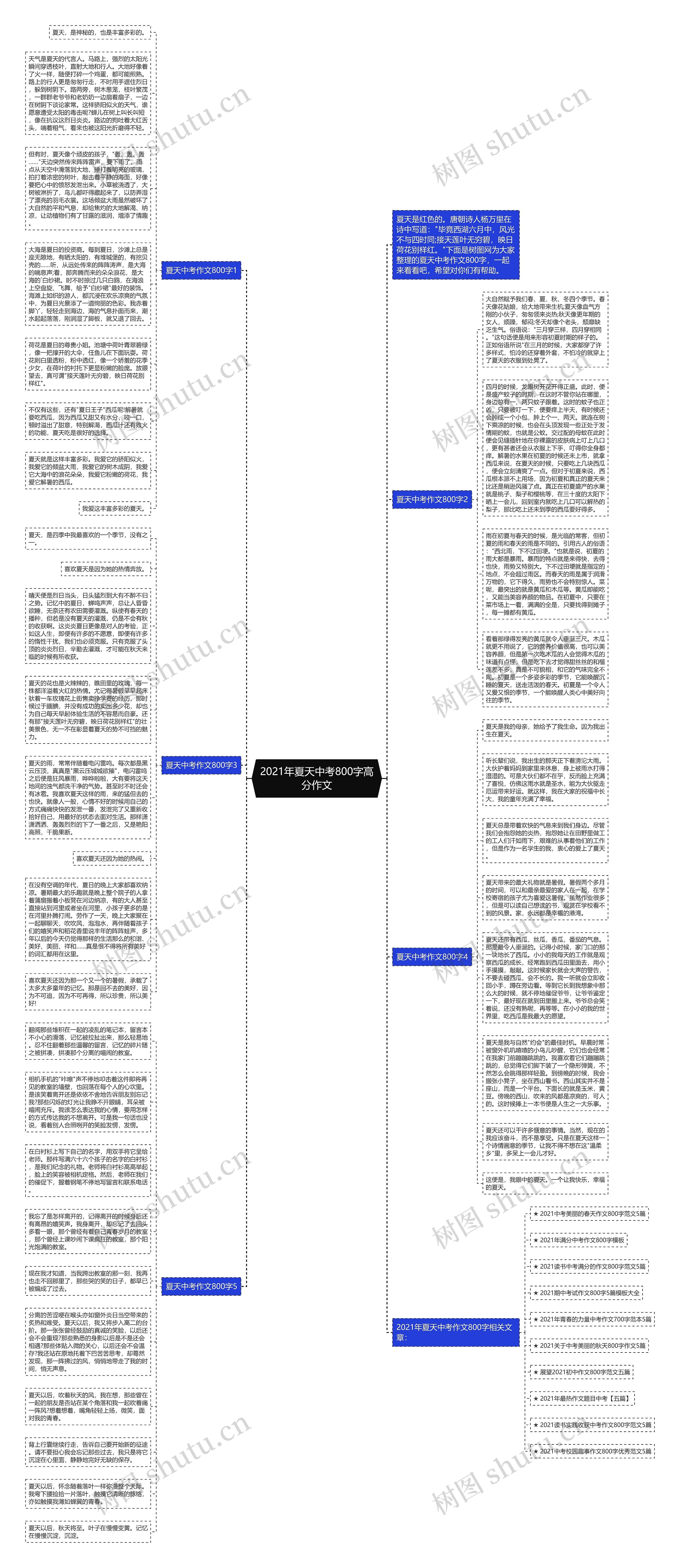 2021年夏天中考800字高分作文思维导图