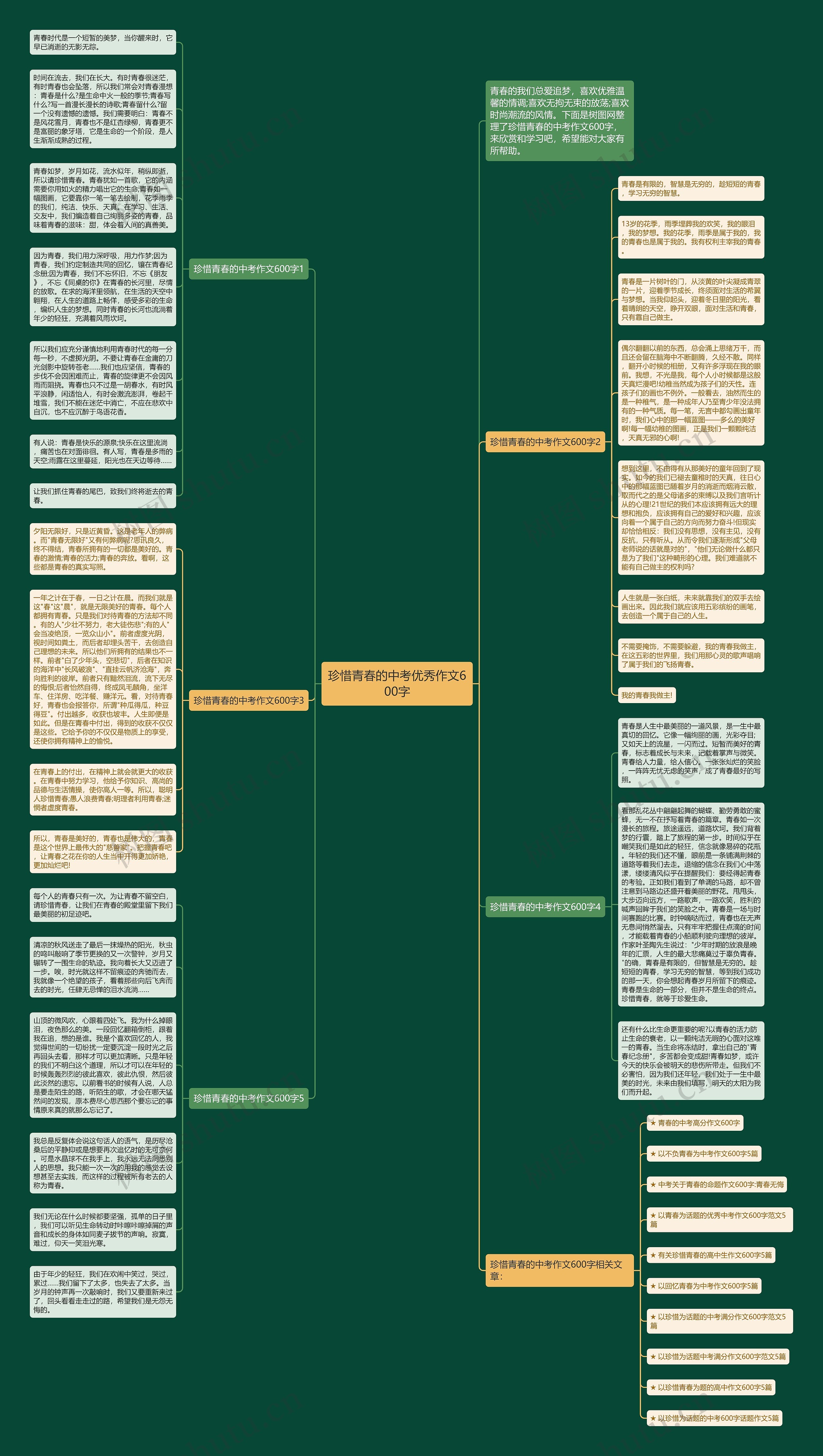 珍惜青春的中考优秀作文600字思维导图