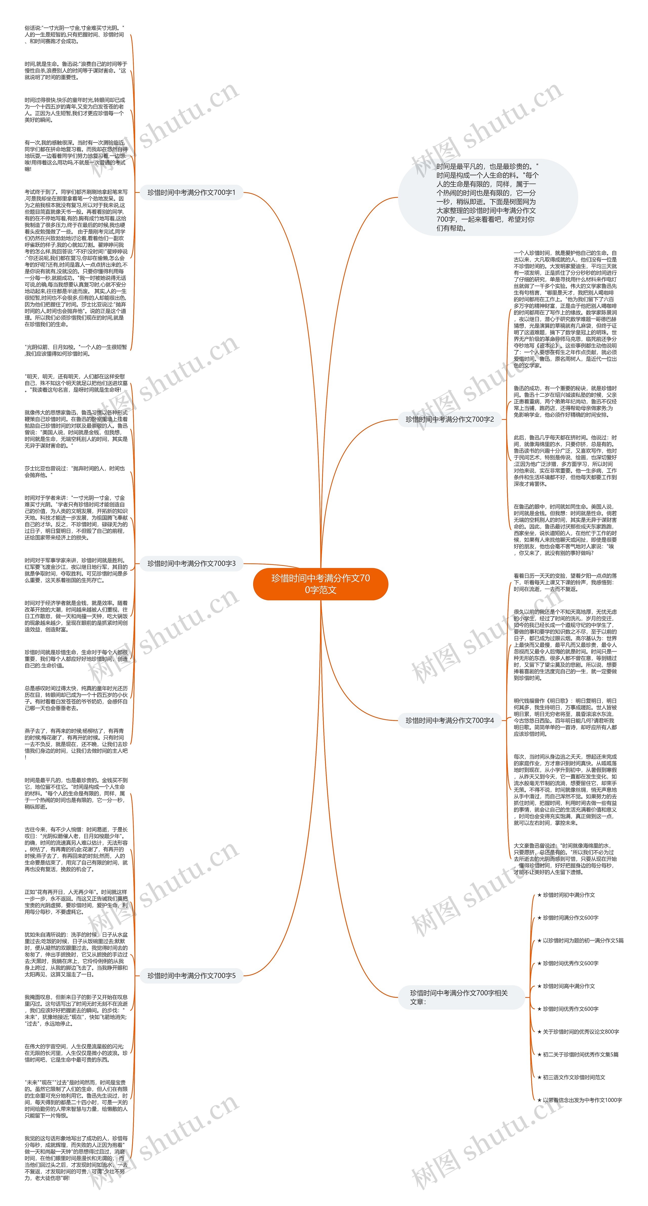珍惜时间中考满分作文700字范文思维导图