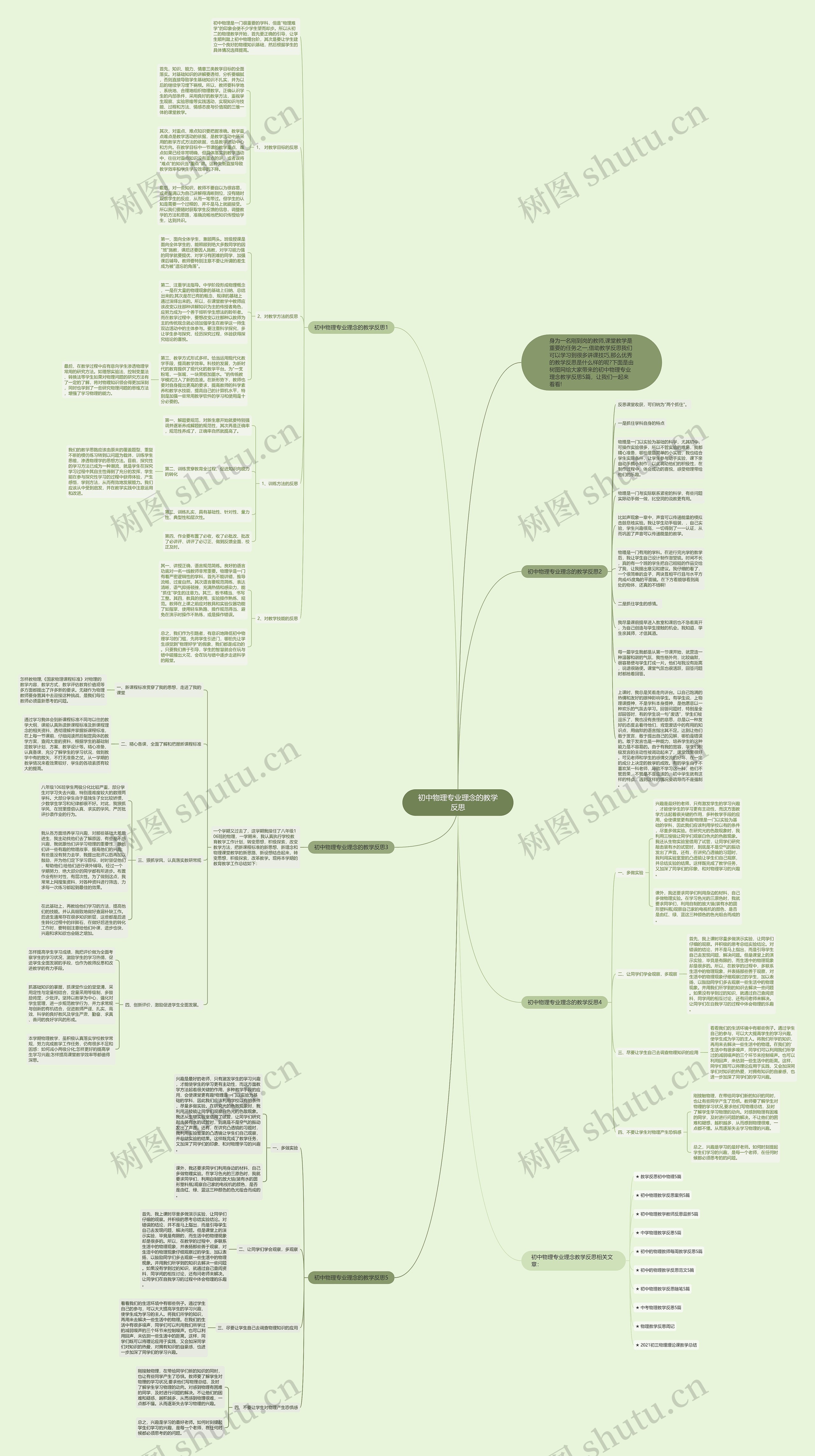初中物理专业理念的教学反思思维导图