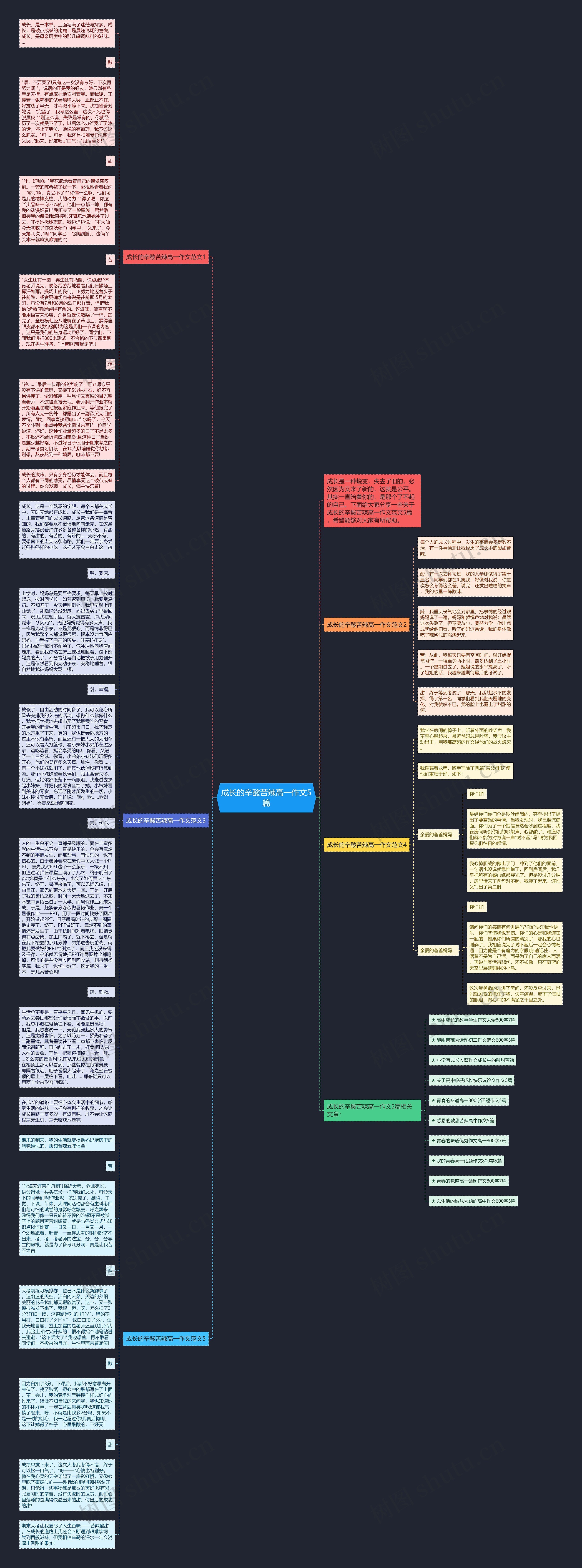 成长的辛酸苦辣高一作文5篇思维导图