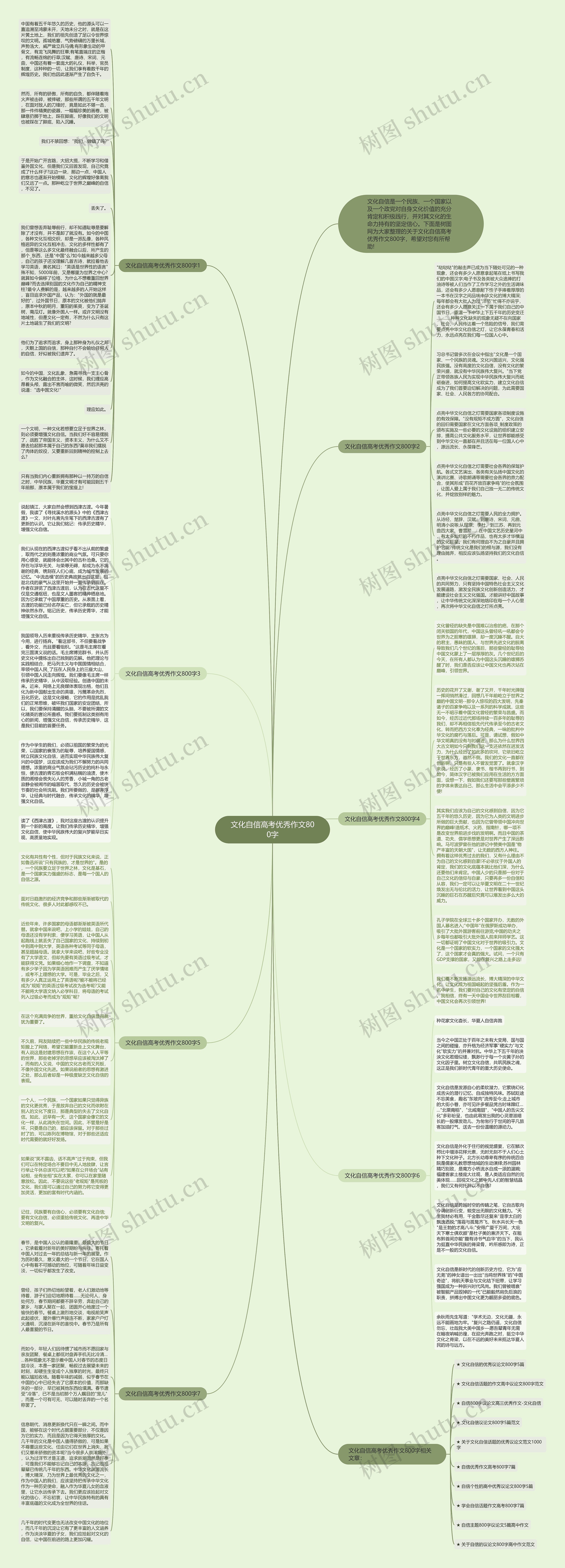 文化自信高考优秀作文800字思维导图
