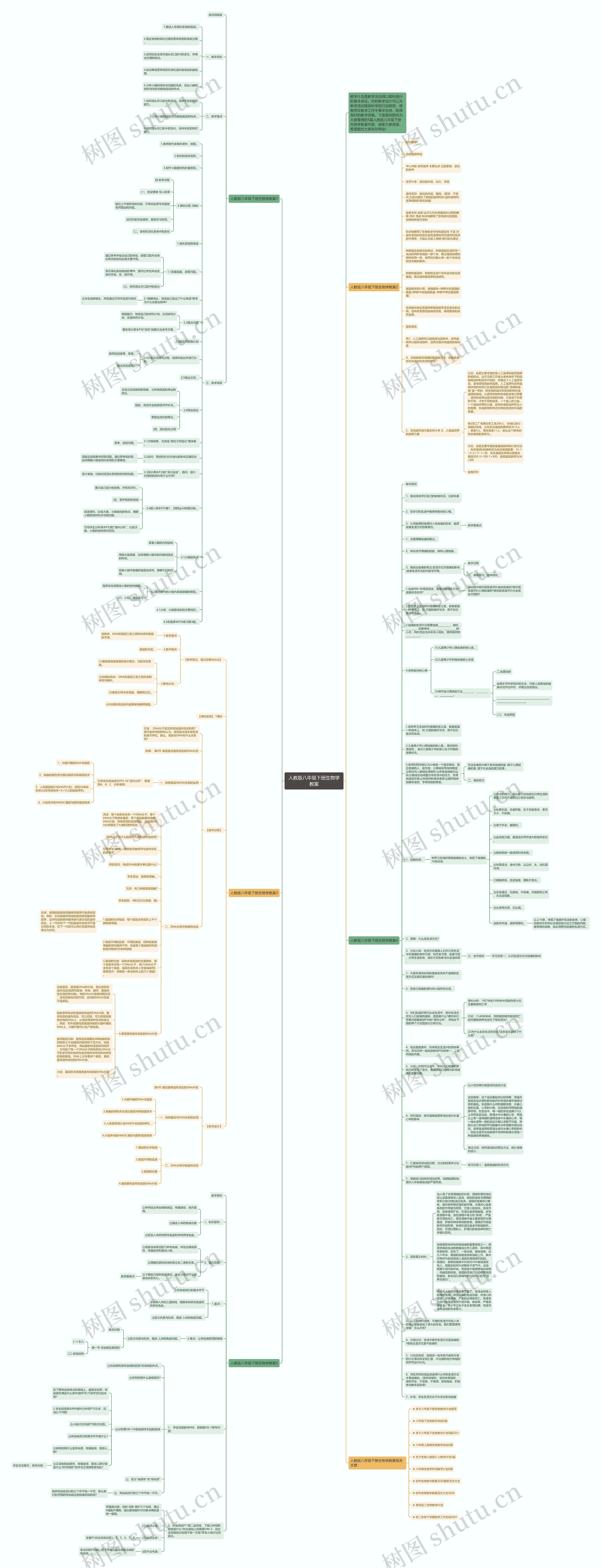 人教版八年级下册生物学教案思维导图