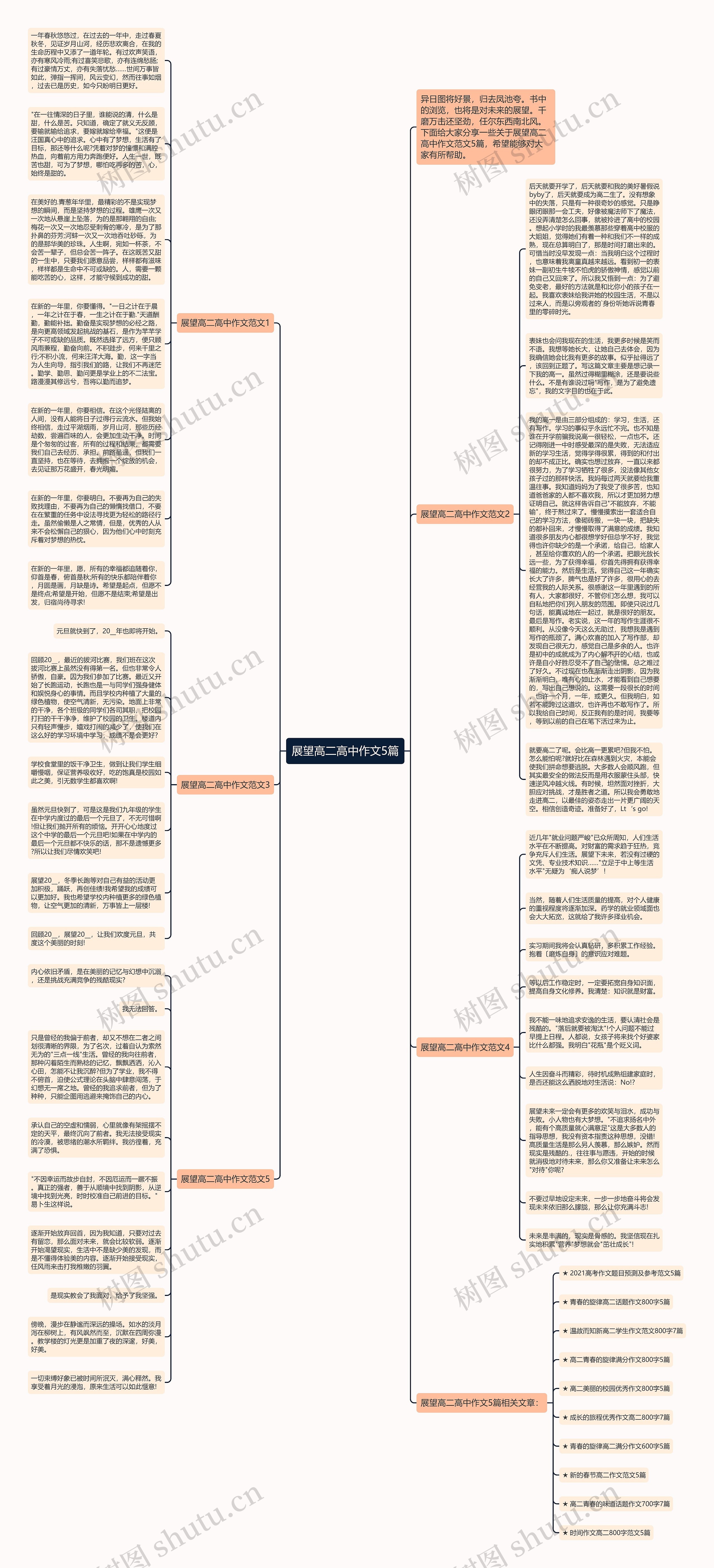 展望高二高中作文5篇思维导图