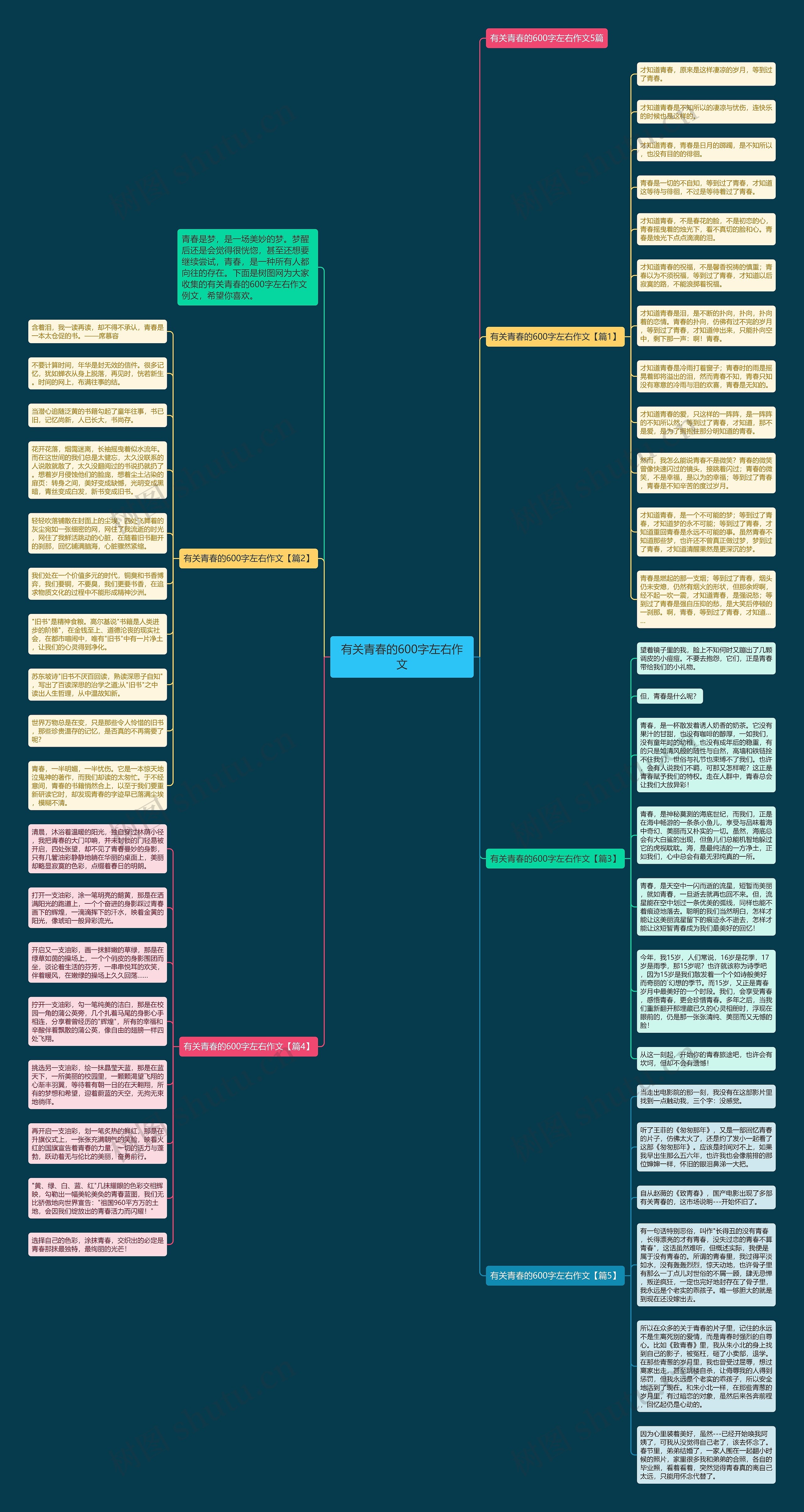 有关青春的600字左右作文思维导图