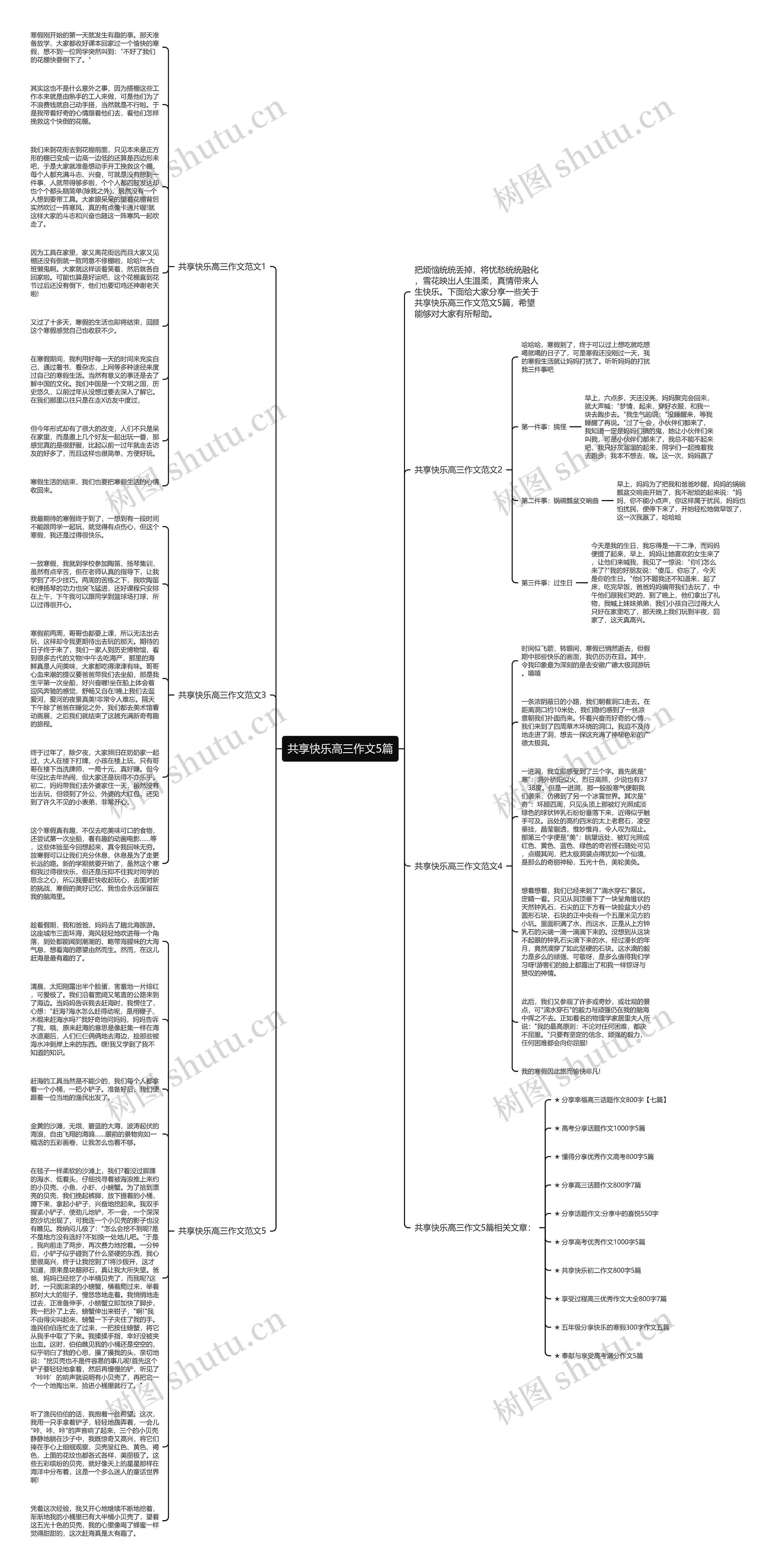 共享快乐高三作文5篇思维导图