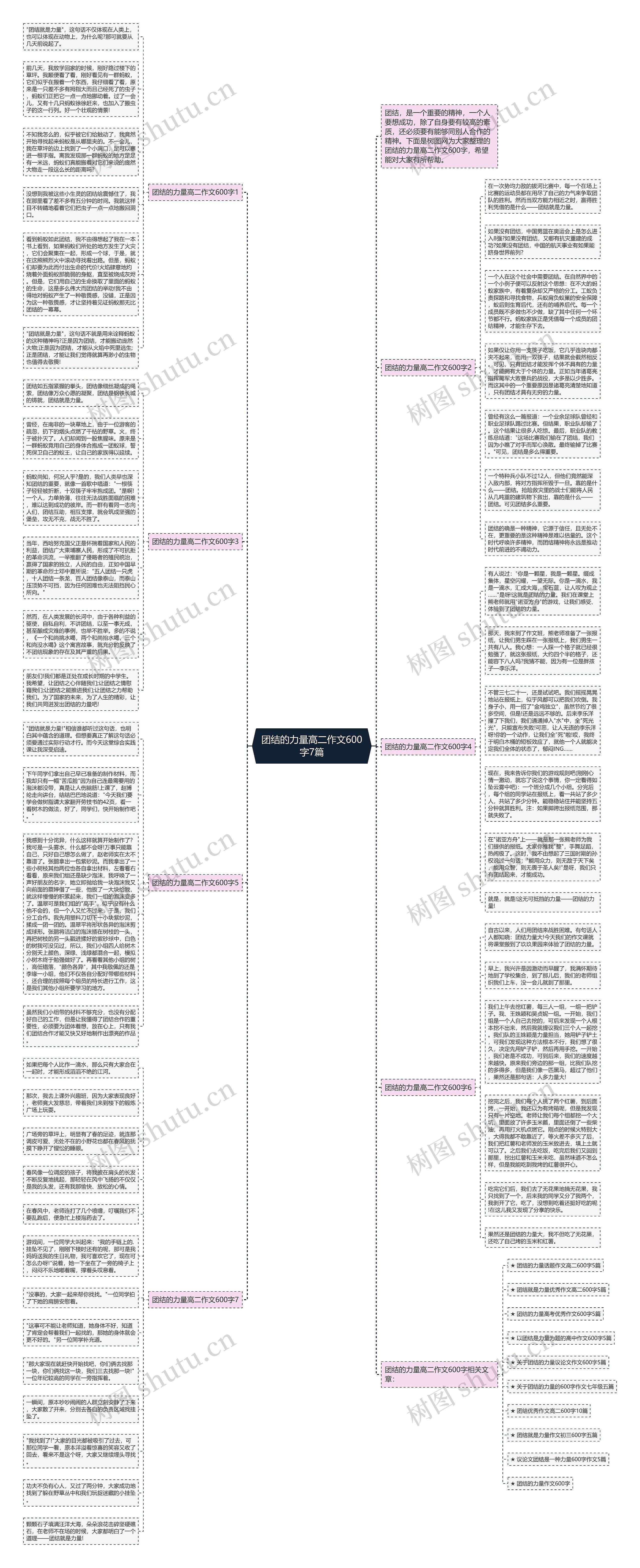 团结的力量高二作文600字7篇思维导图