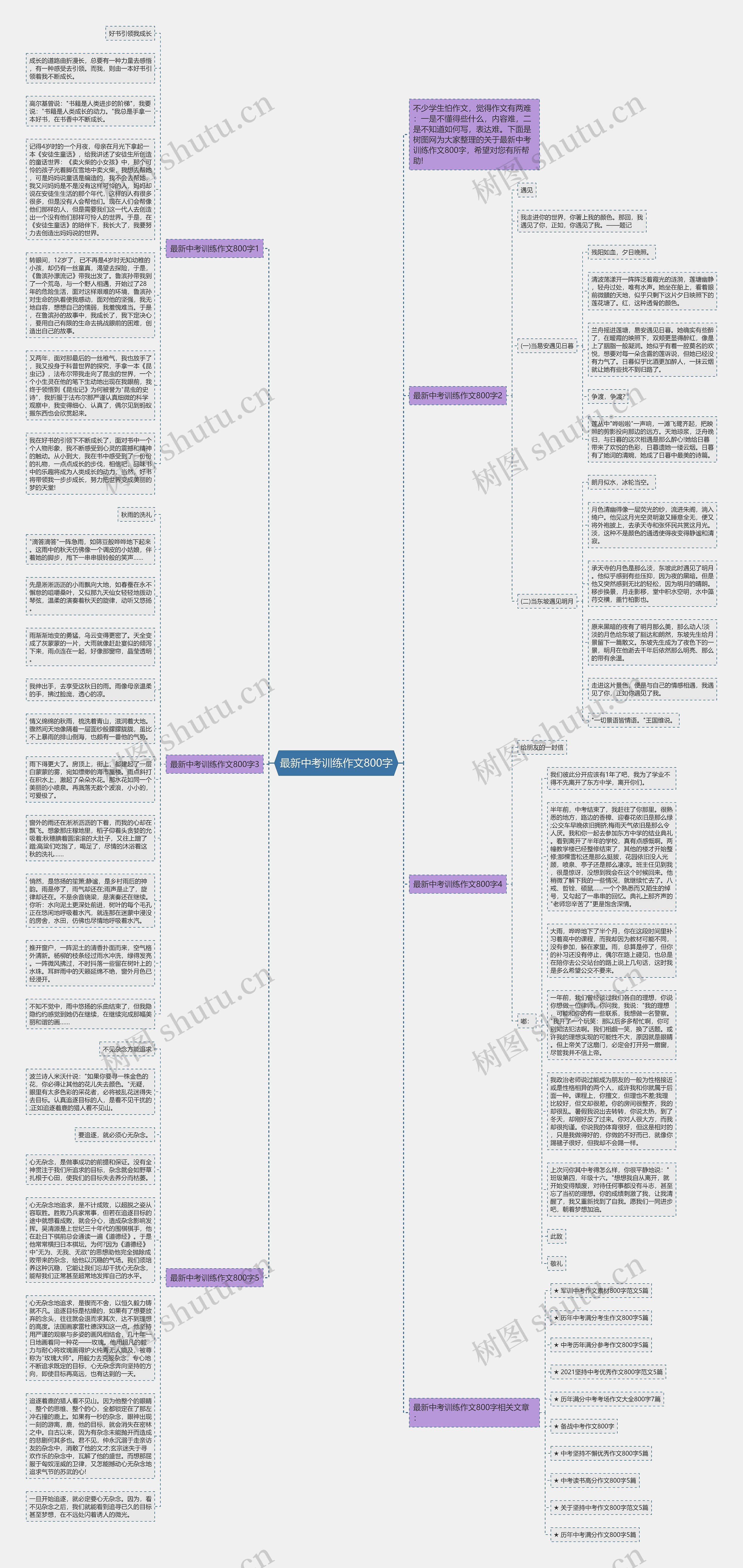 最新中考训练作文800字思维导图
