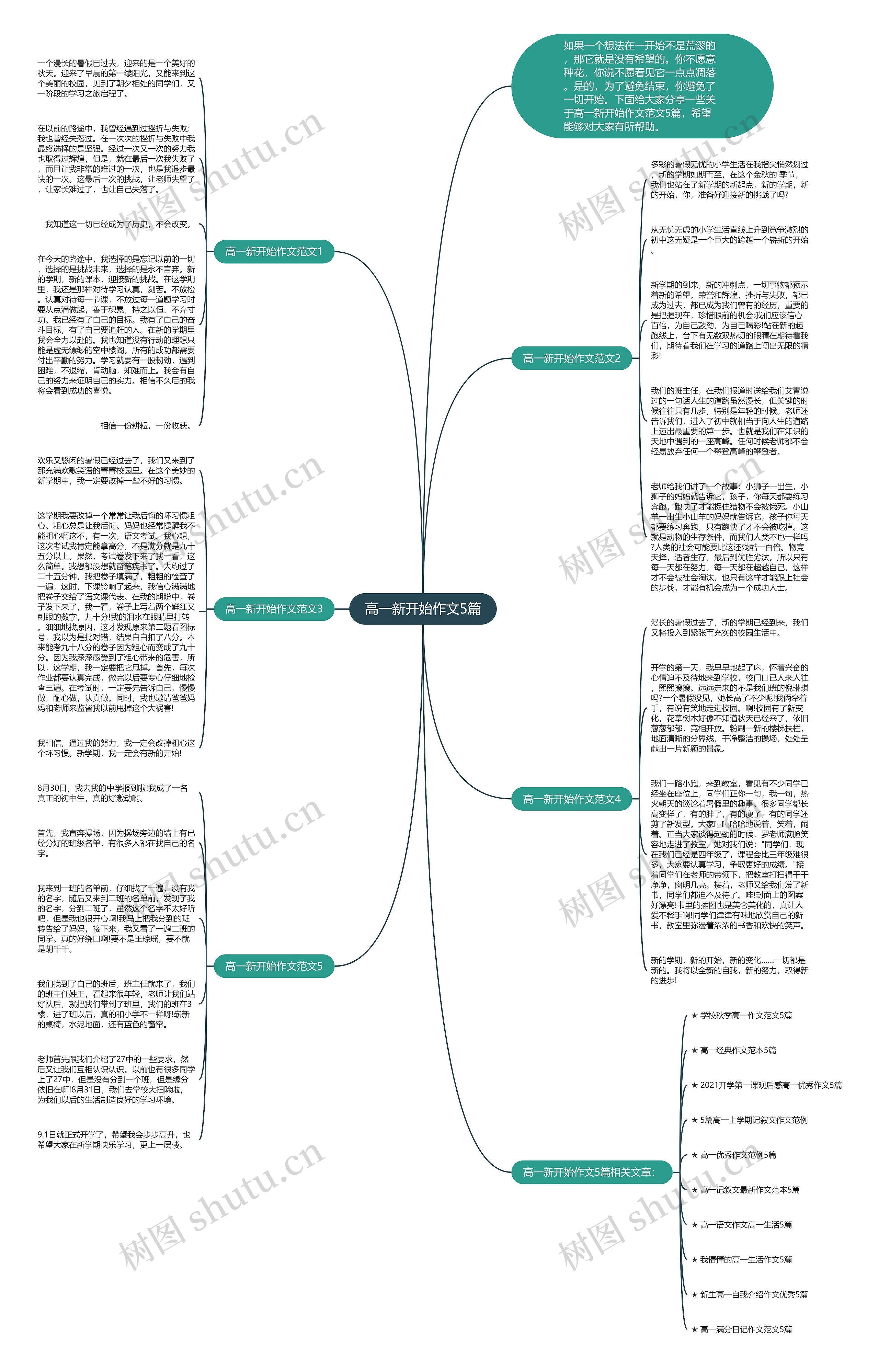 高一新开始作文5篇思维导图