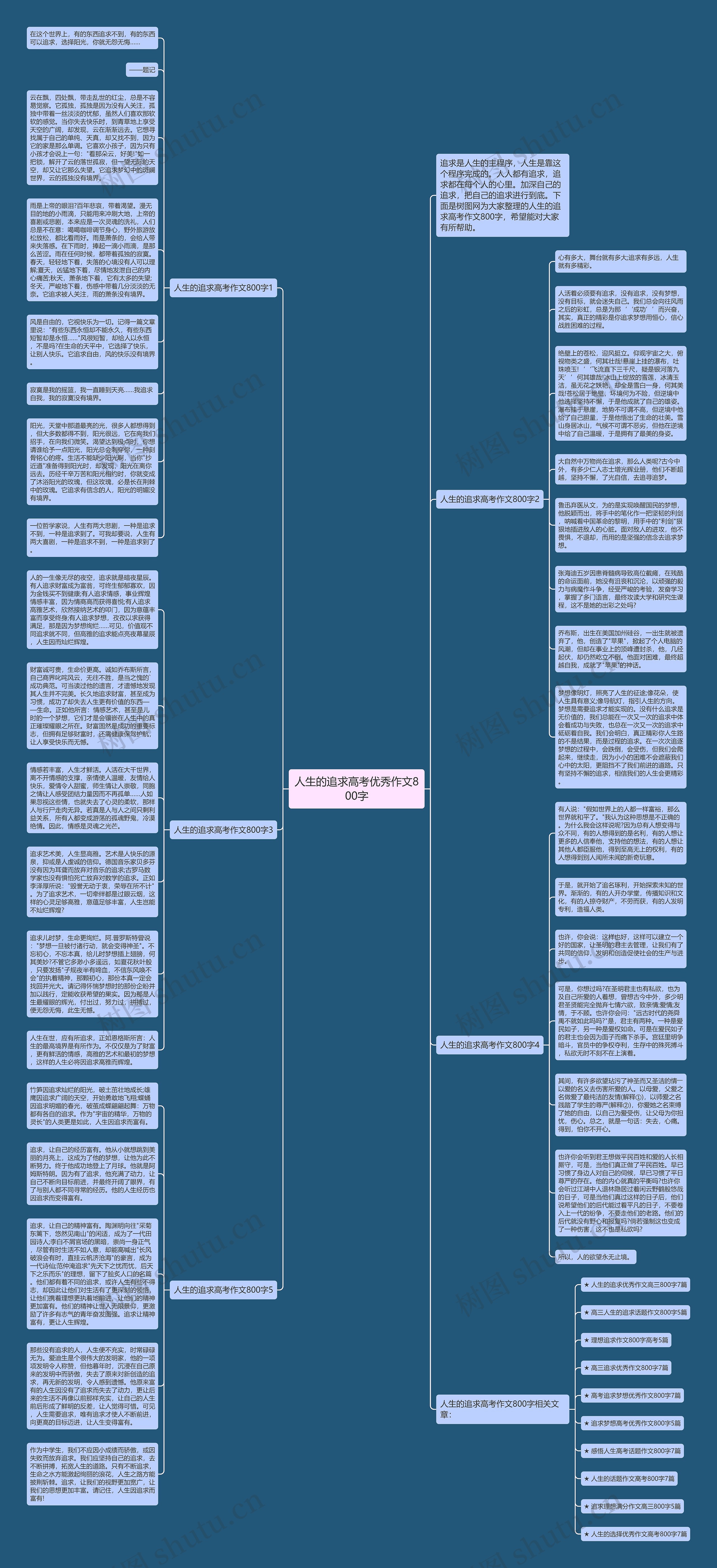 人生的追求高考优秀作文800字思维导图