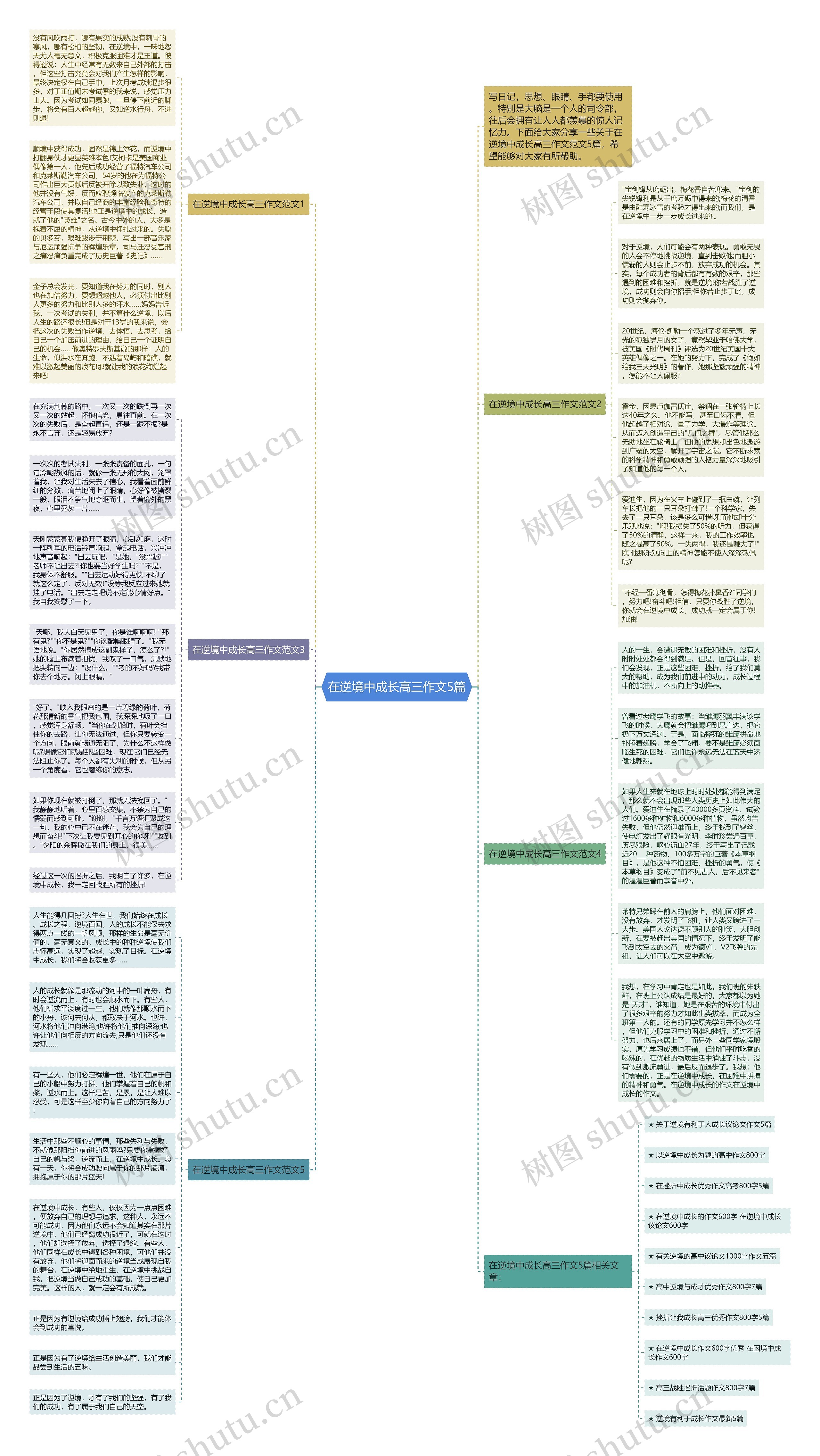 在逆境中成长高三作文5篇思维导图