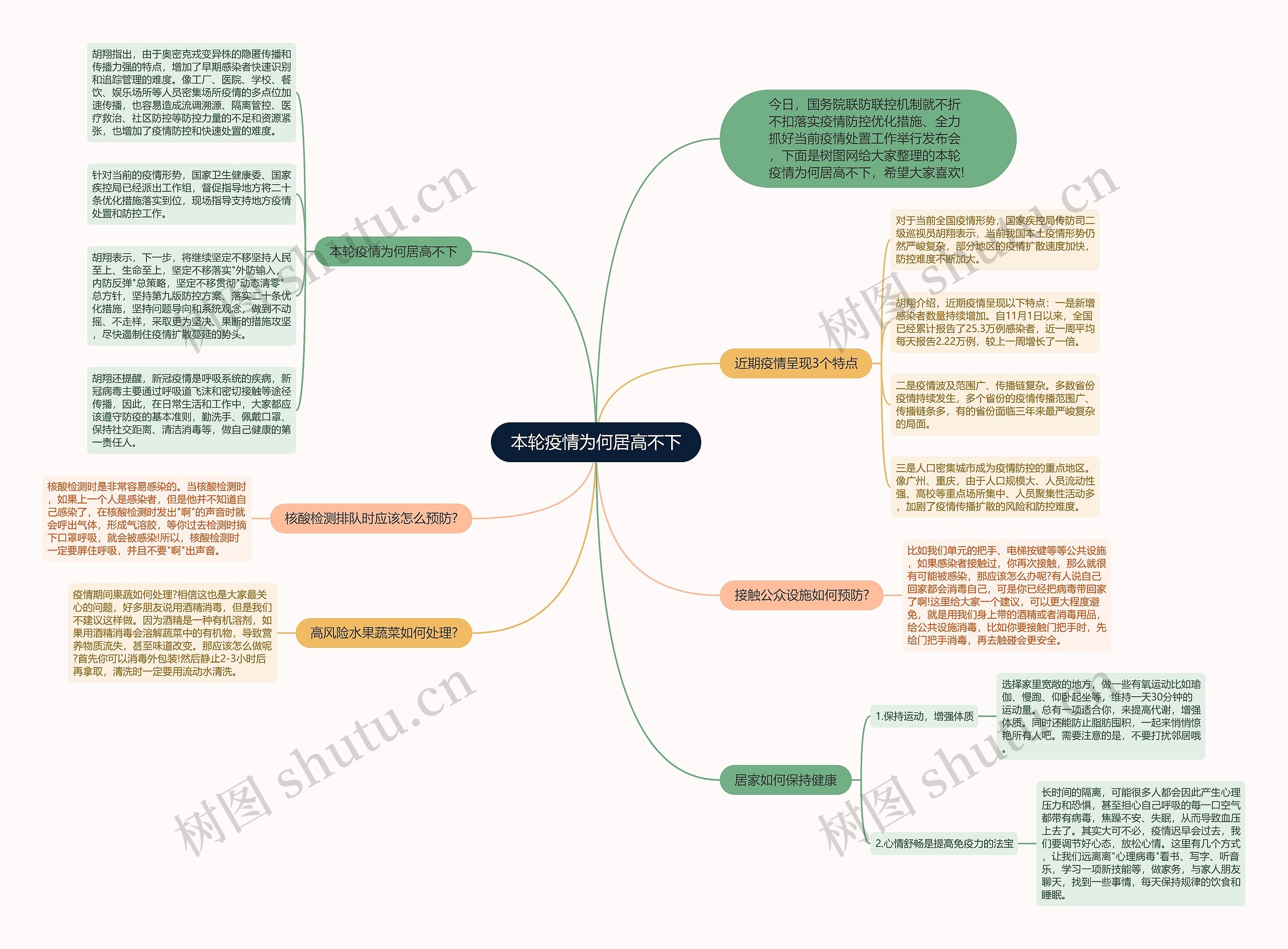 本轮疫情为何居高不下思维导图