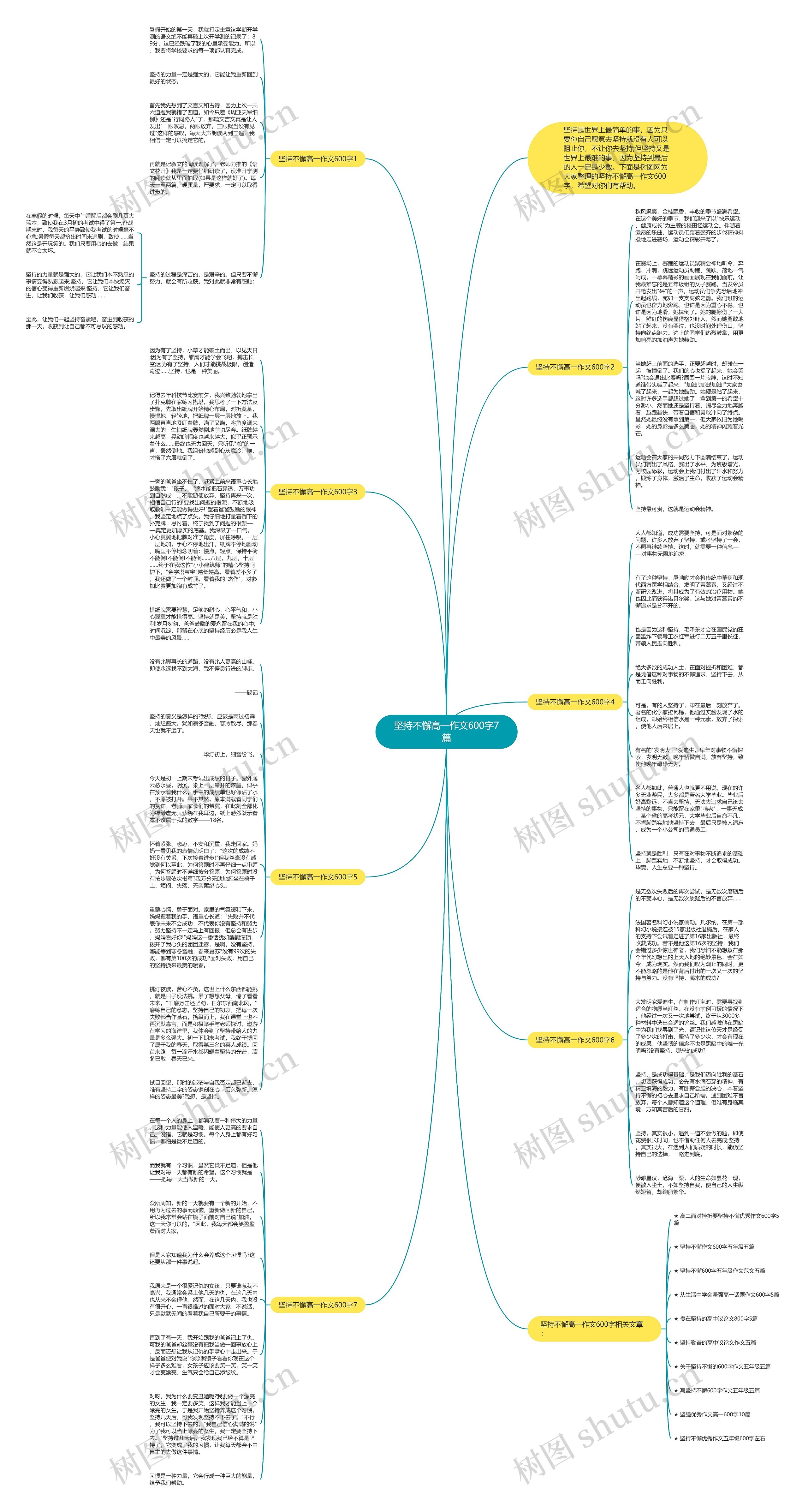 坚持不懈高一作文600字7篇思维导图