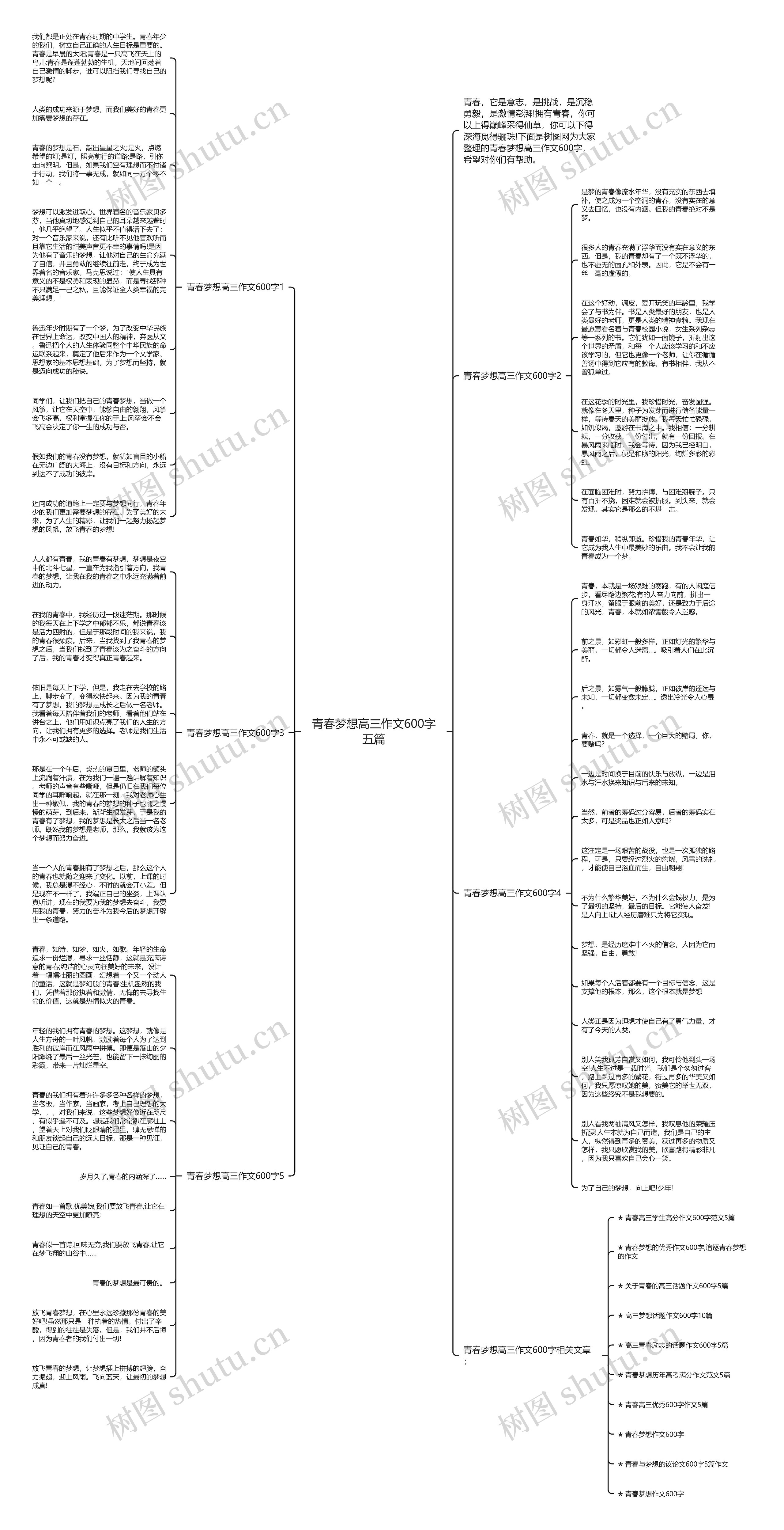 青春梦想高三作文600字五篇思维导图