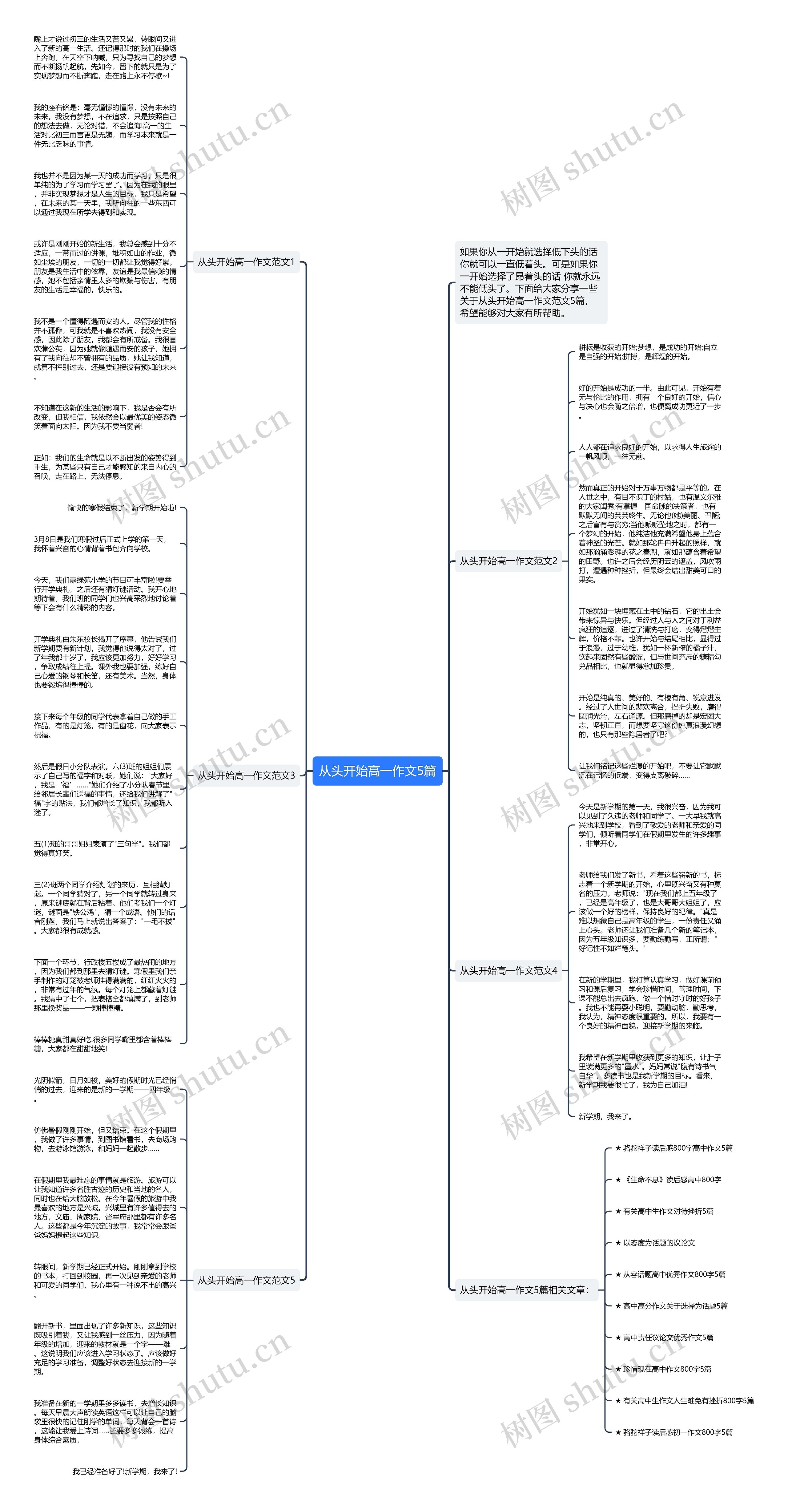 从头开始高一作文5篇