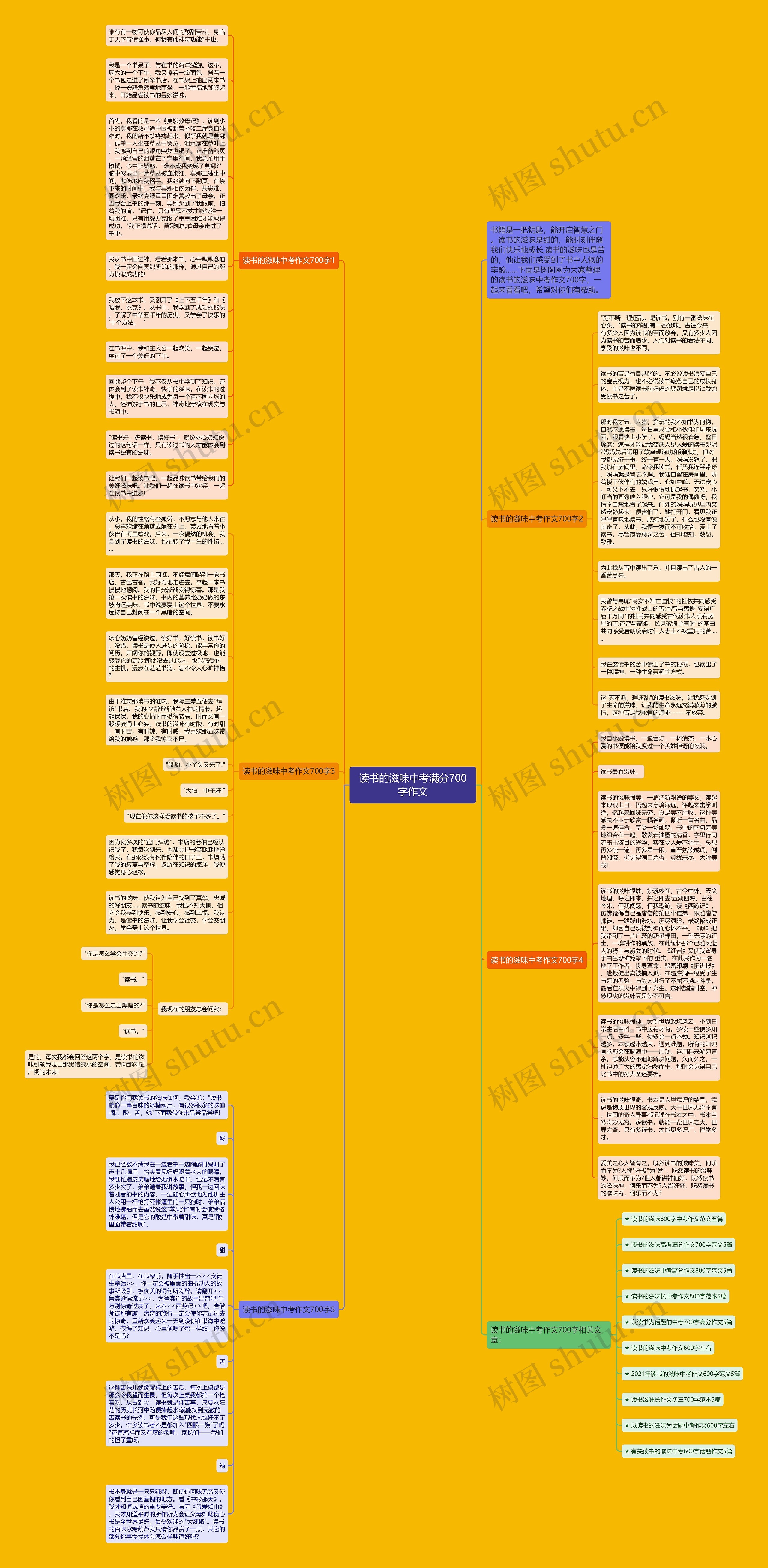 读书的滋味中考满分700字作文思维导图