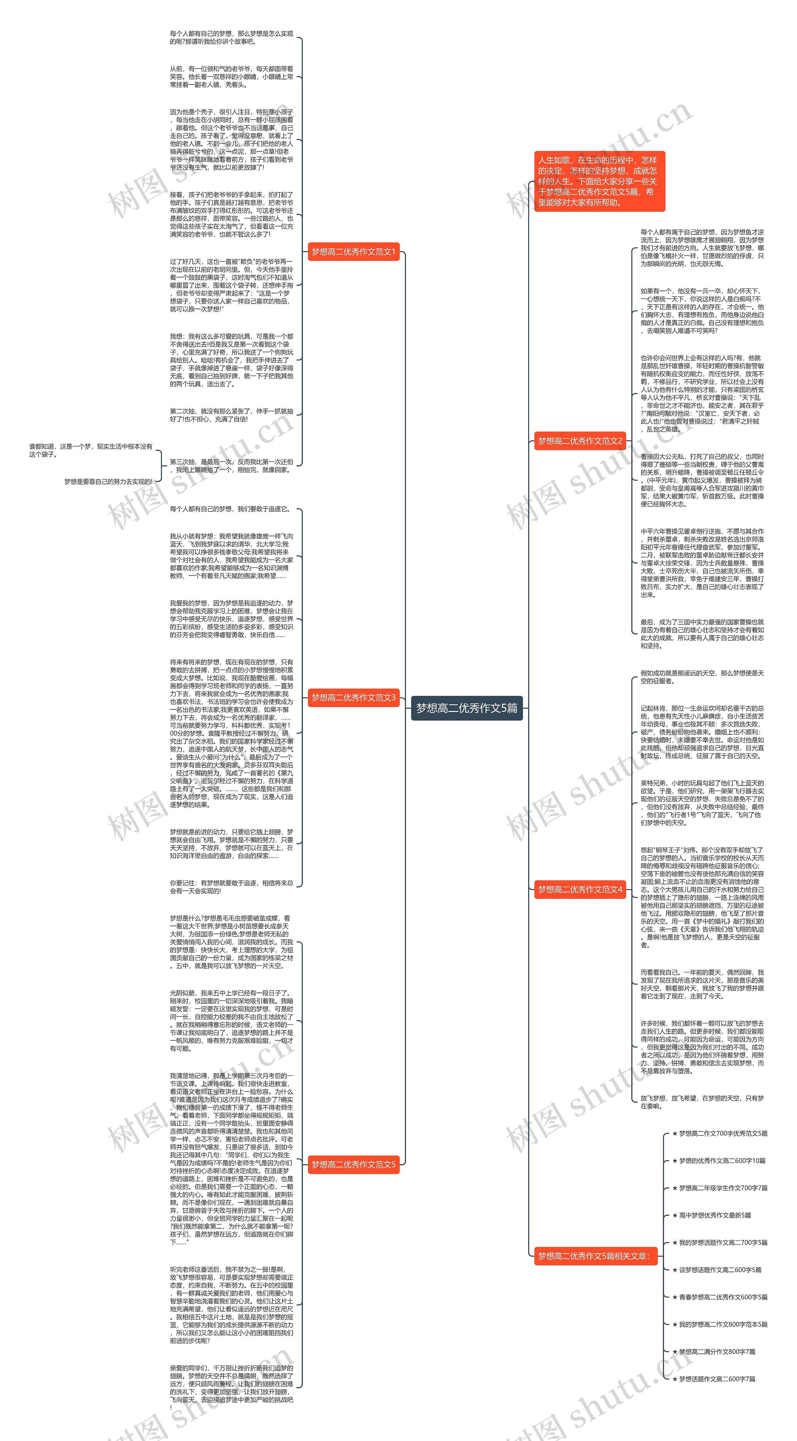 梦想高二优秀作文5篇思维导图