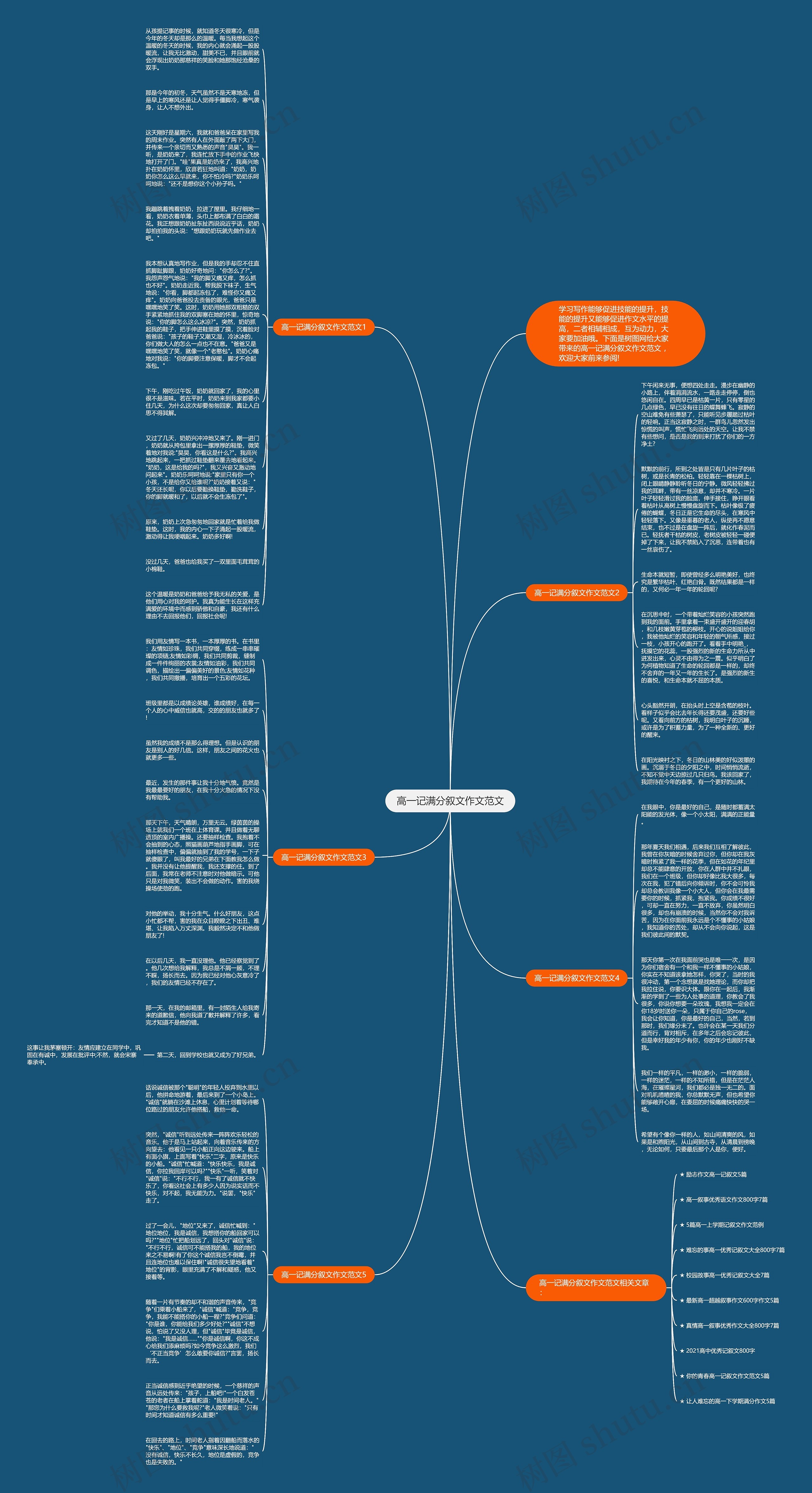 高一记满分叙文作文范文思维导图