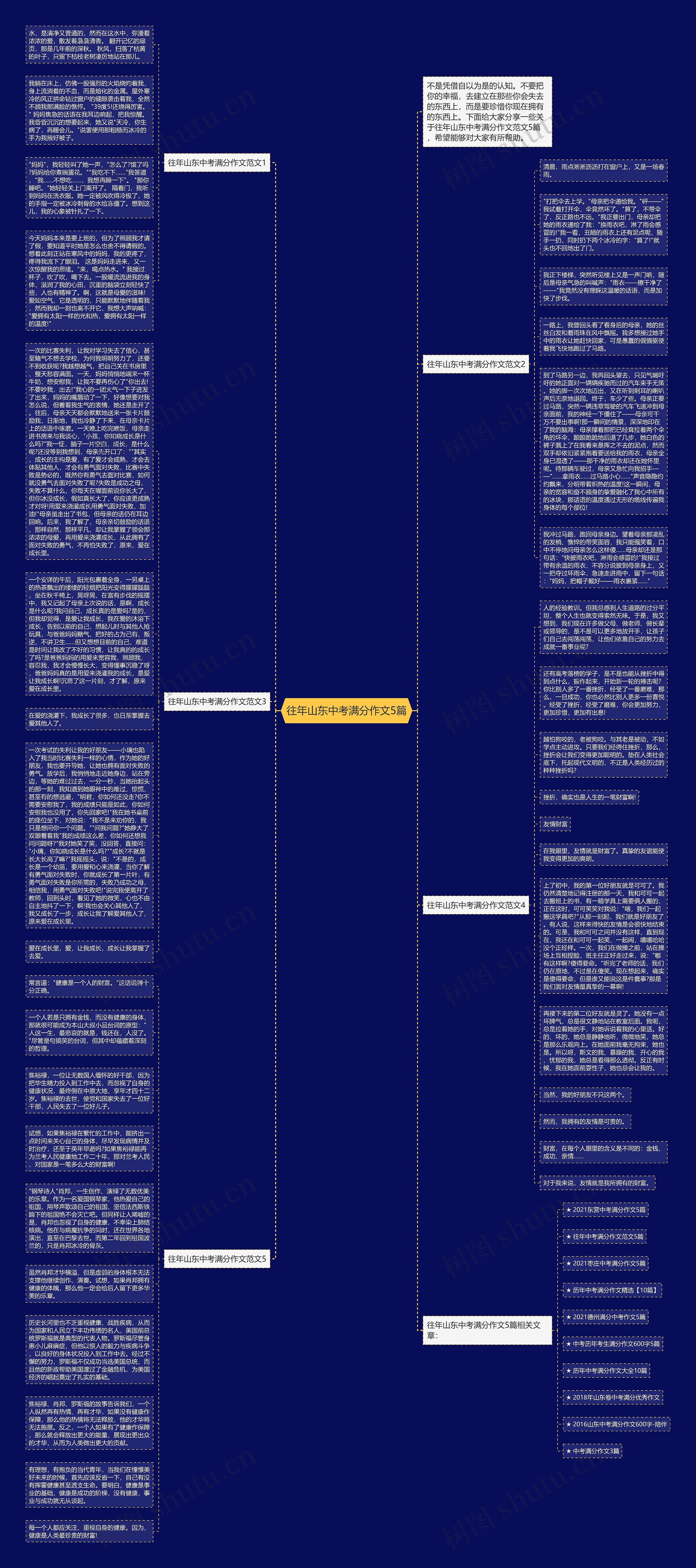 往年山东中考满分作文5篇思维导图